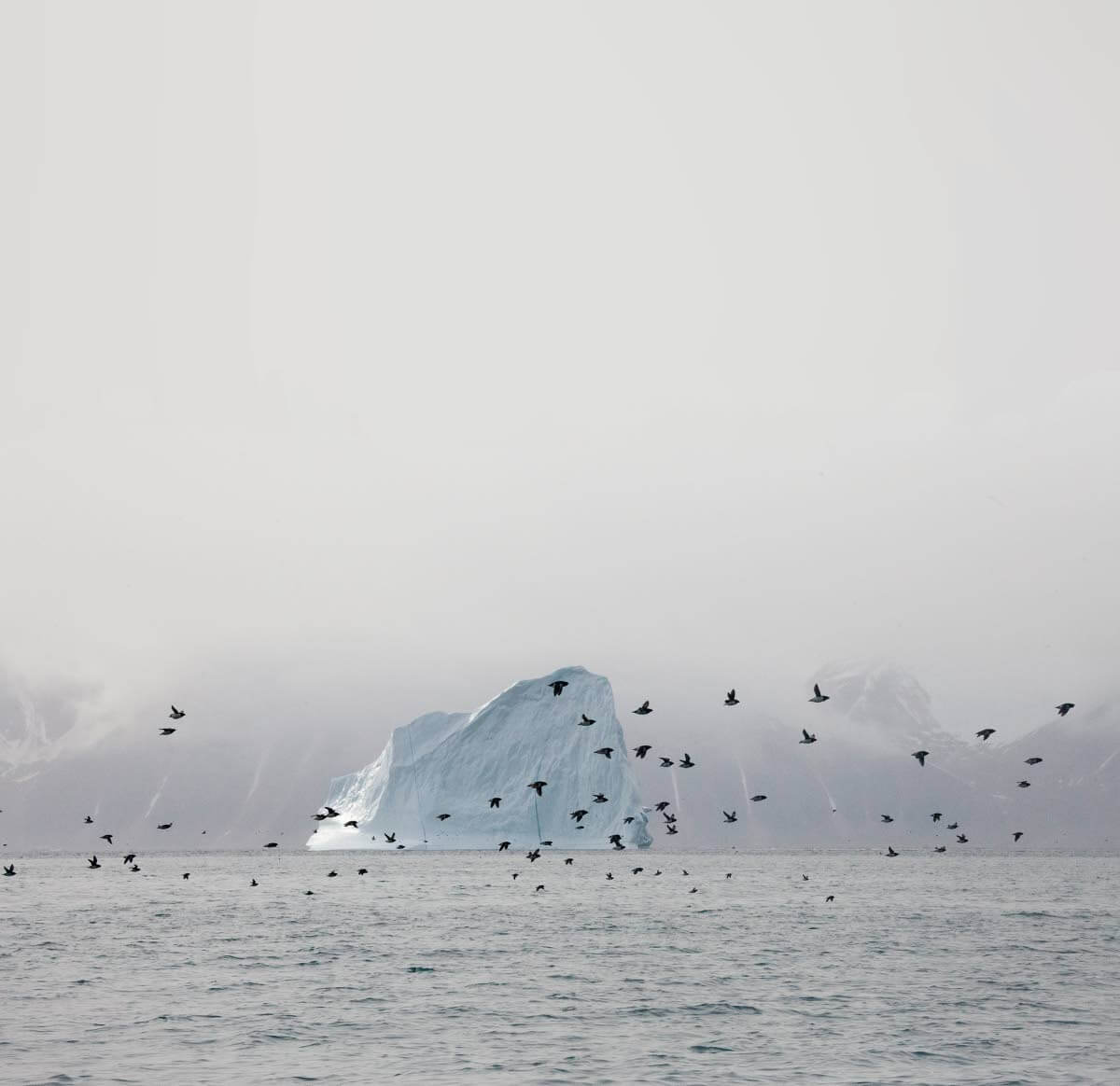 Pohjois-Grönlanti 80. leveyspiirin tuntumassa on luonnonrikkauksien karu maa, hyvänä esimerkkinä tuhatlukuiset pikkuruokkiyhdyskunnat.