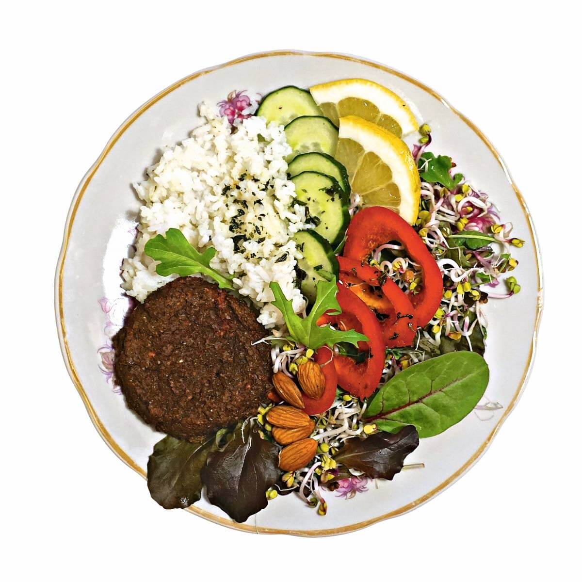 Aktiiviliikkujan lautasmalli.