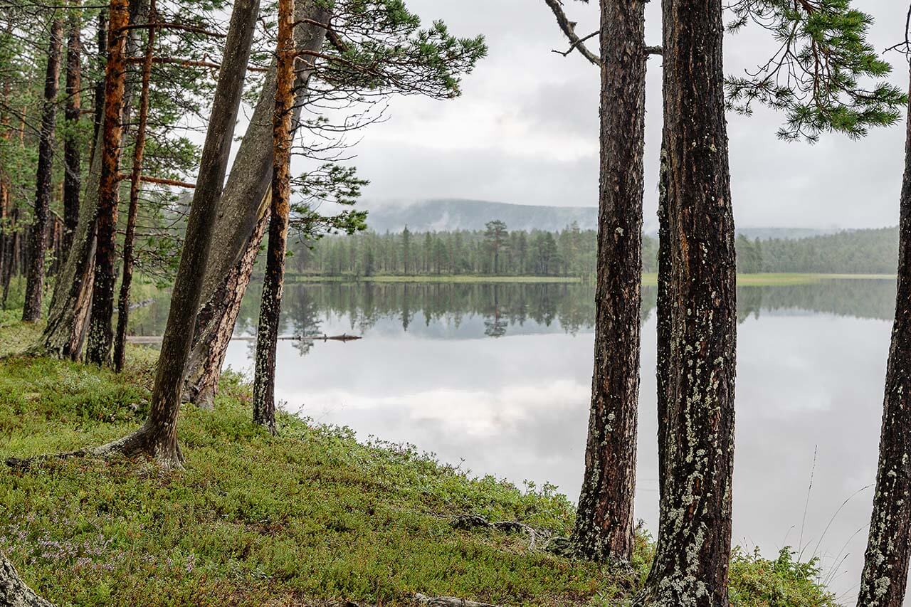Raja-Joosepin suunnasta tuntureille noustaan Kiertämäojaa seurailevaa polkua. Kuva: Tapani Leppänen.