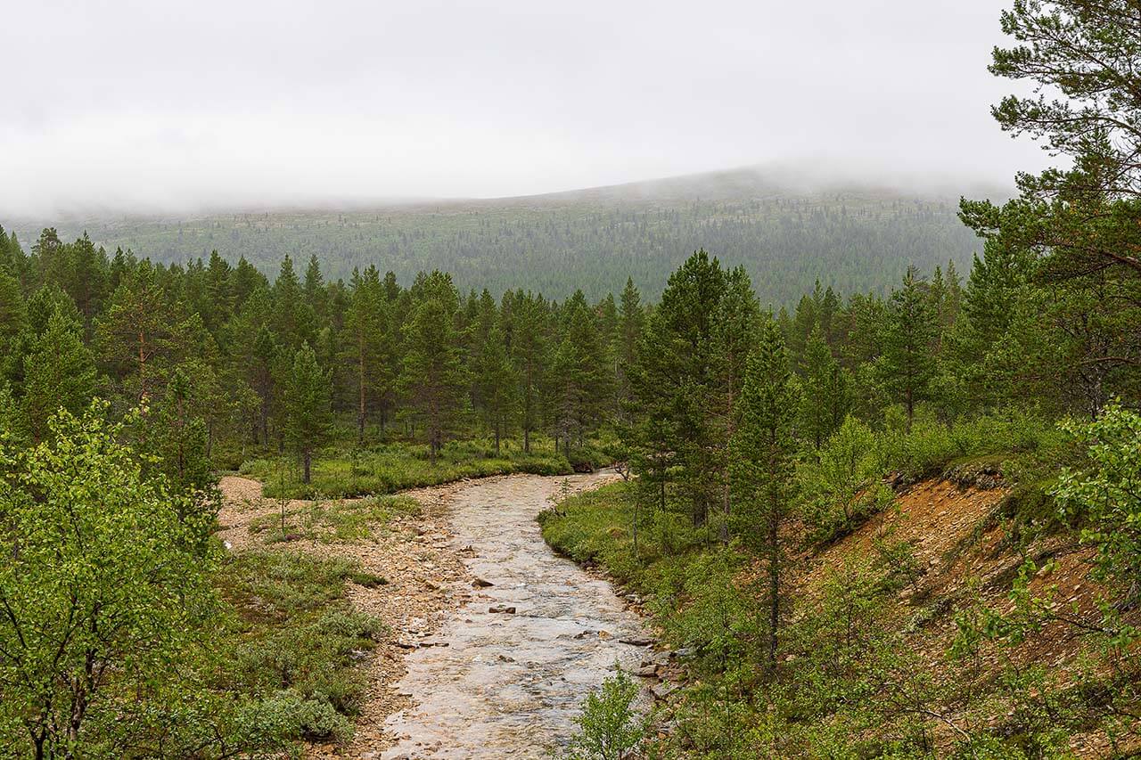 Solisevat purot, pohjoinen havumetsä ja helppokulkuinen paljakka muodostavat UK-puistolle leimallisen maiseman. Kuva: Tapani Leppänen.