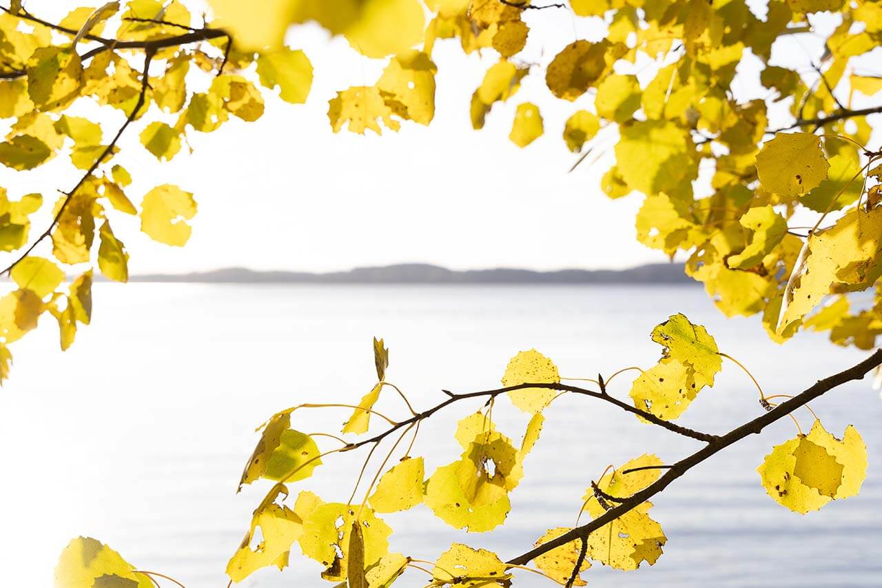 Tammelan järviylänkö sijaitsee Ruuhka-Suomen keskipisteessä. Kuva: Tapani Leppänen.