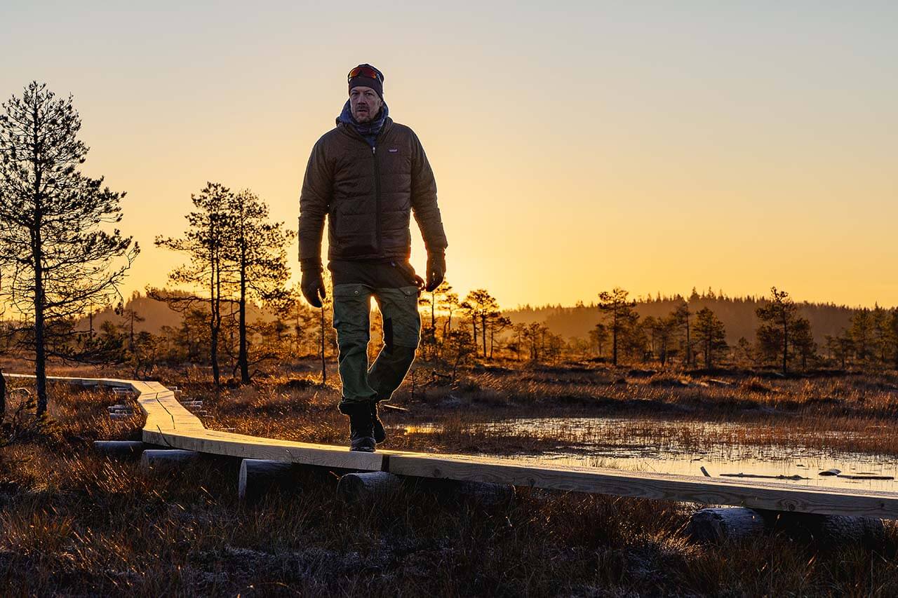 Torronsuon aamuaurinko värjää maiseman kullankeltaiseksi. Kuva: Tapani Leppänen.