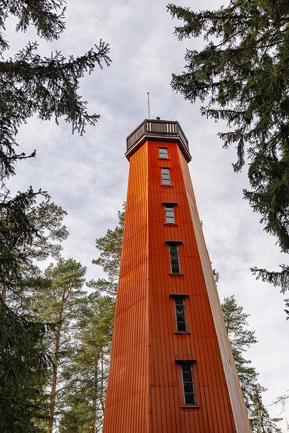 Kaukolanharjun näkötorni on Saaren kansanpuiston maamerkki. Kuva: Tapani Leppänen.