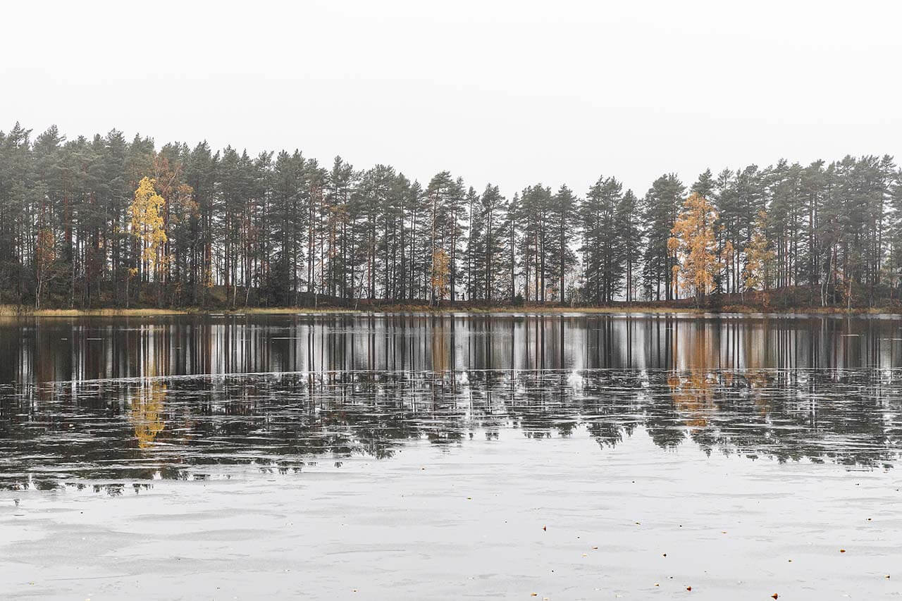 Lokakuun lopulla Ruostejärven rannat ovat jo riitteessä. Kuva: Tapani Leppänen.