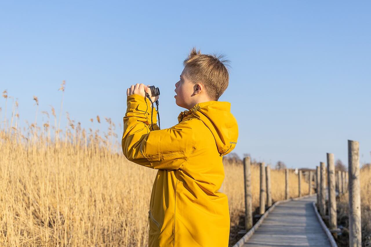Vanhankaupunginlahden ruovikko on Helsingin lintukeidas. Kuva: Tapani Leppänen.