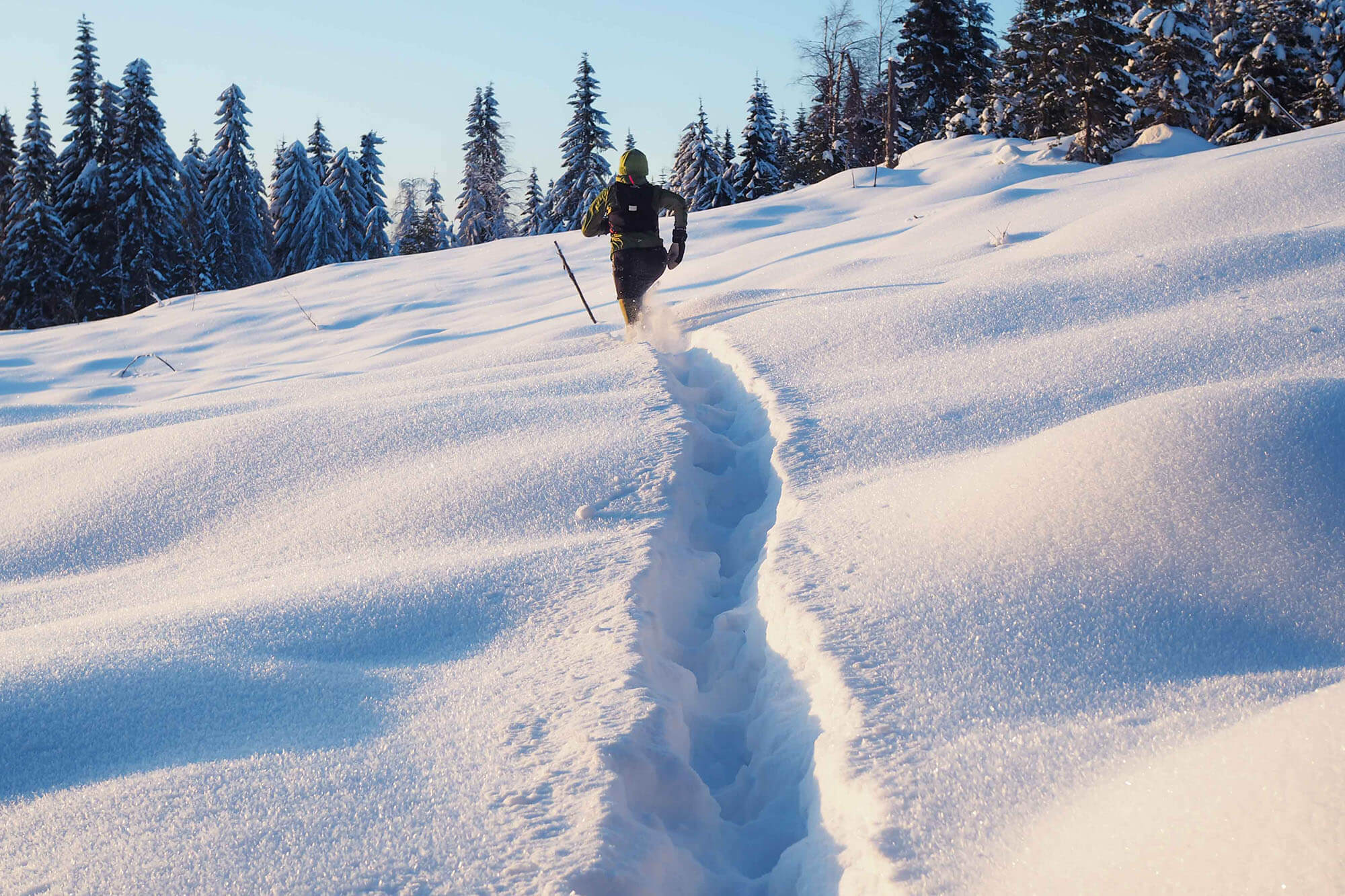 Kuva: Terhi Ilosaari.