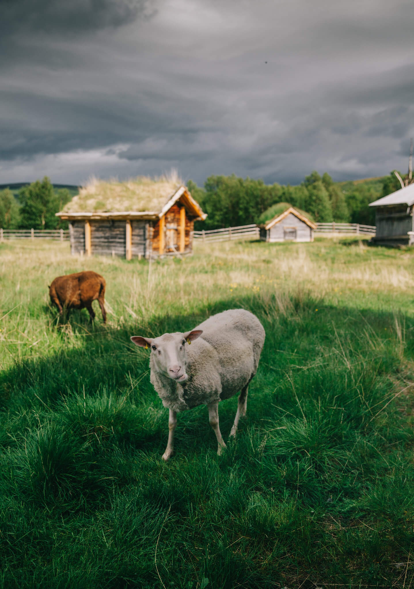 Kuva: Marinella Himari.