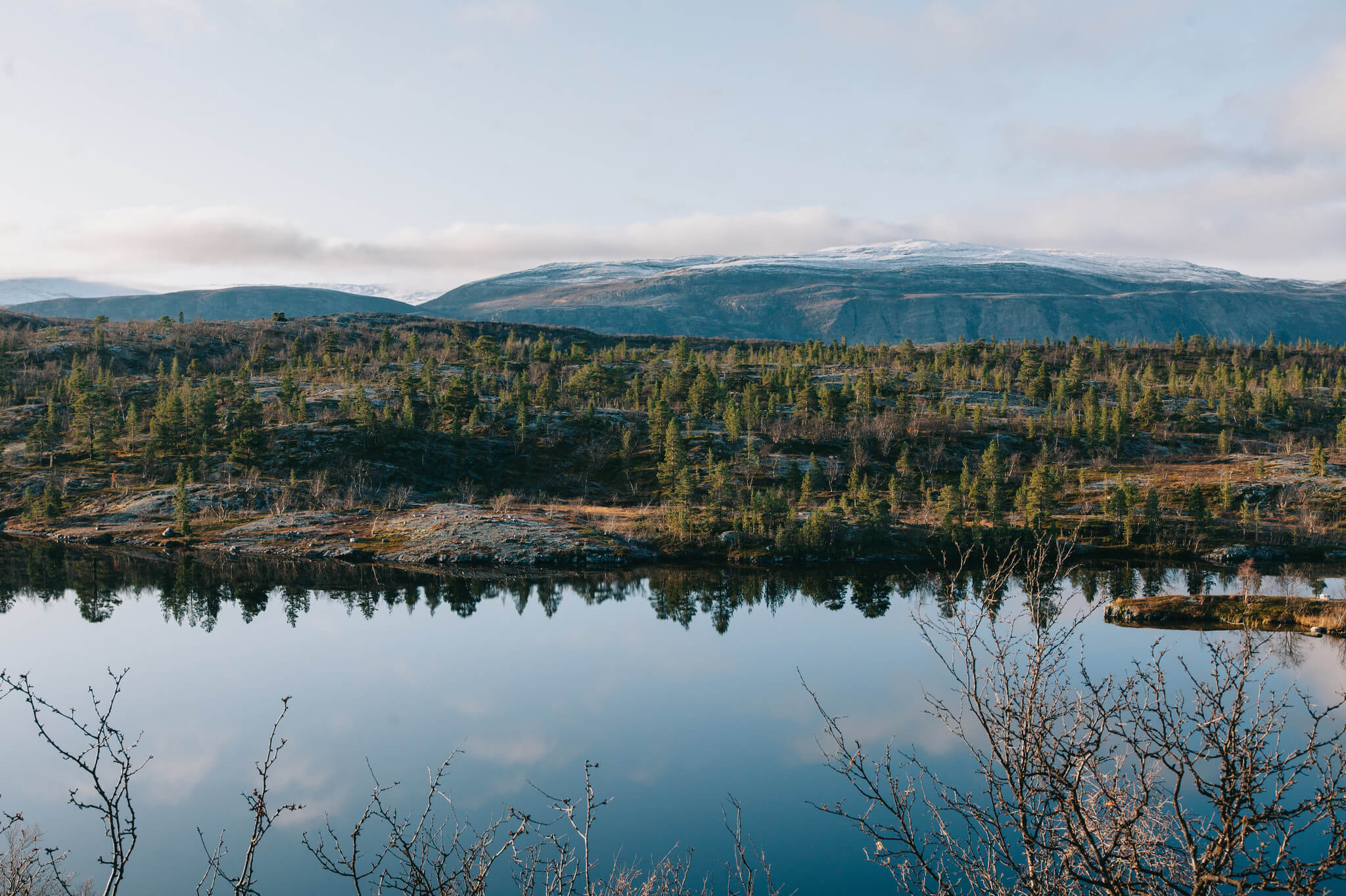 Muutto luonnon keskelle leikkasi ja muutti kirjoittajan kulutustottumuksia. Kuva: Marinella Himari.