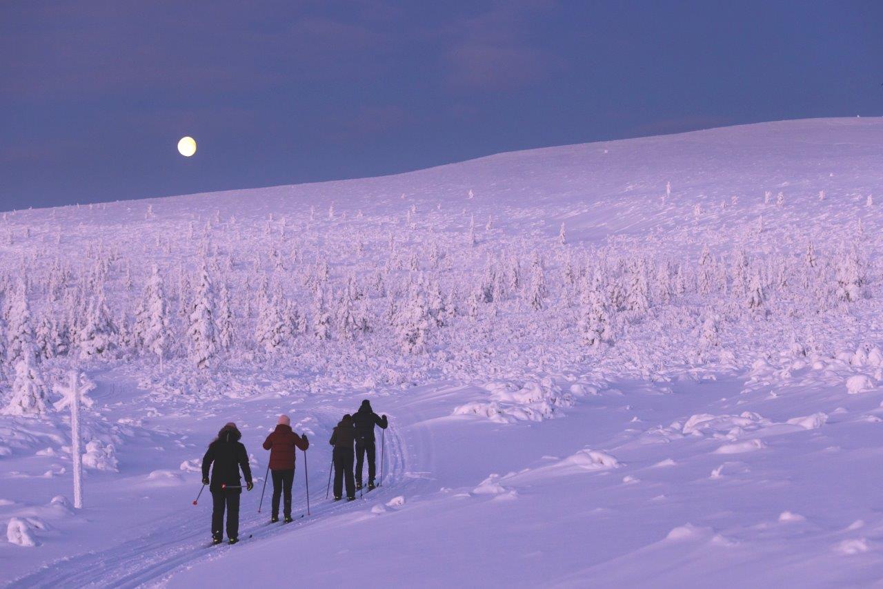 Kuva: Timo Veijalainen.
