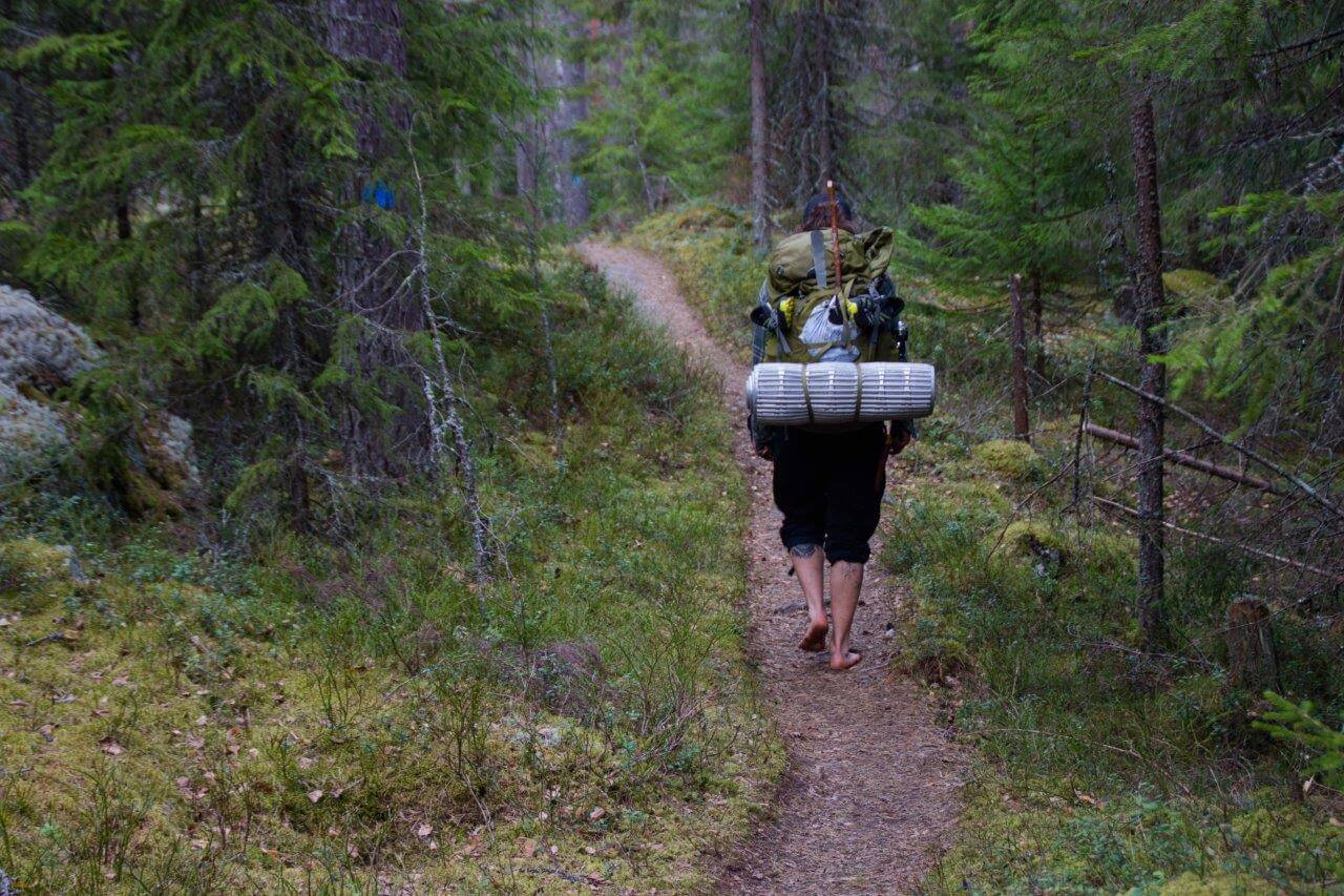 Kun kuljet metsäpoluilla ja juurakoilla, saat jatkuvasti shiatsu-hierontaa. Kuvat: Johanna Kulmala.