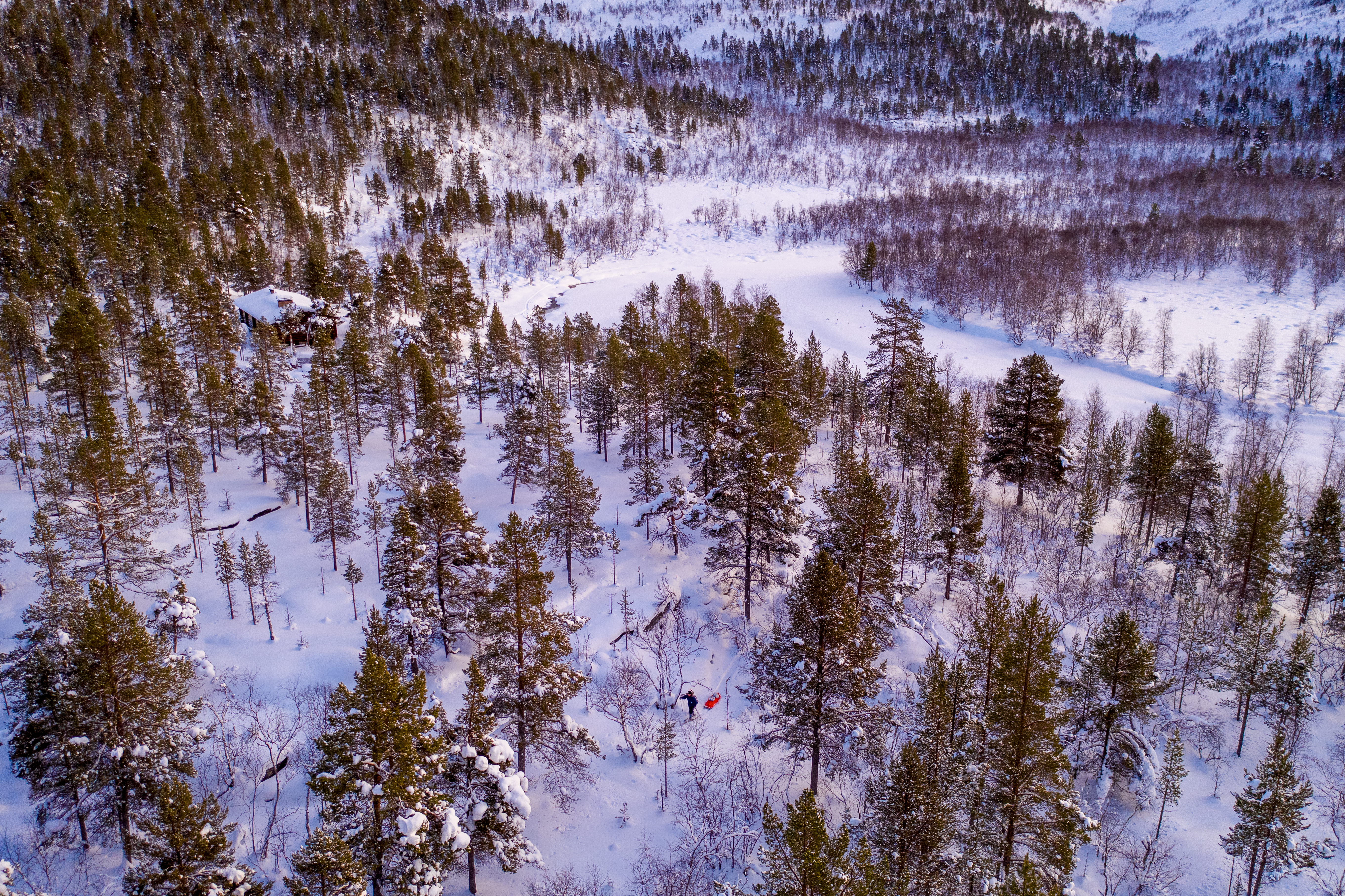 Päivän lyhyiden tuntien aikana ehti käymään hiihtoretkillä.