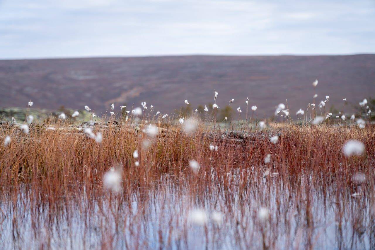 Kuva: Sampsa Sulonen.