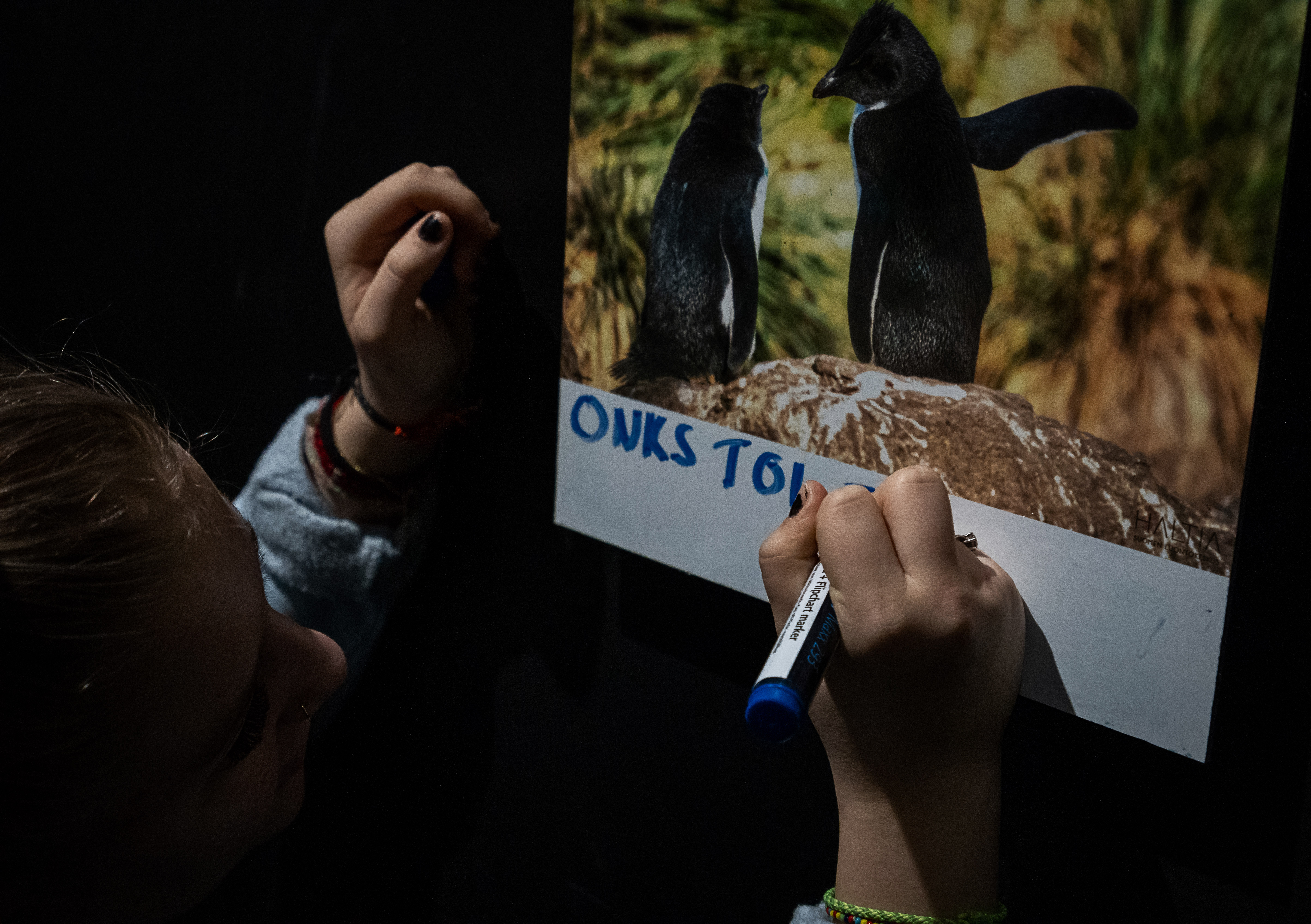 Hauskoille eläinkuville sai kirjoittaa omia kuvatekstejä.