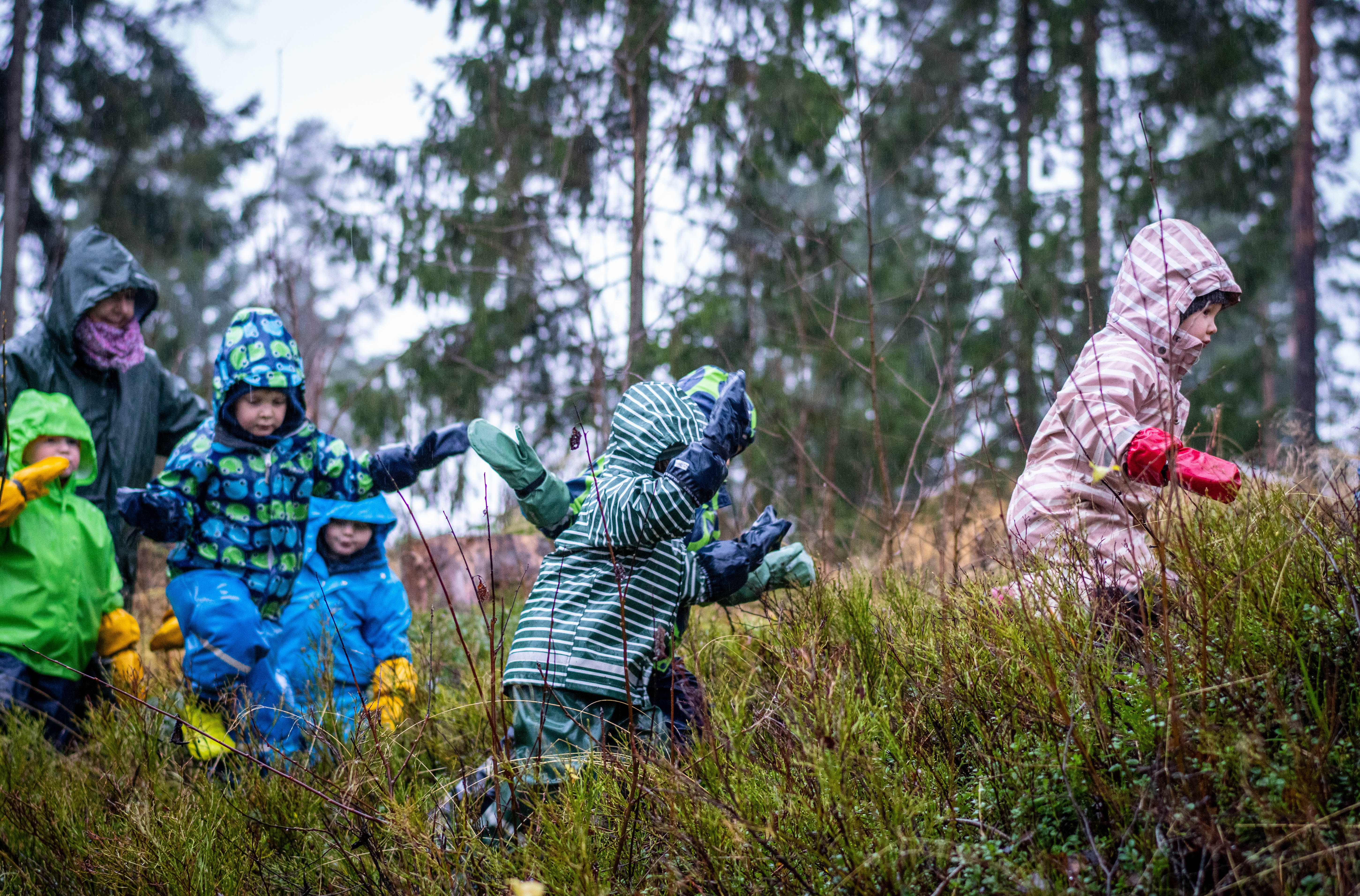 Kuva: Panu Könönen.