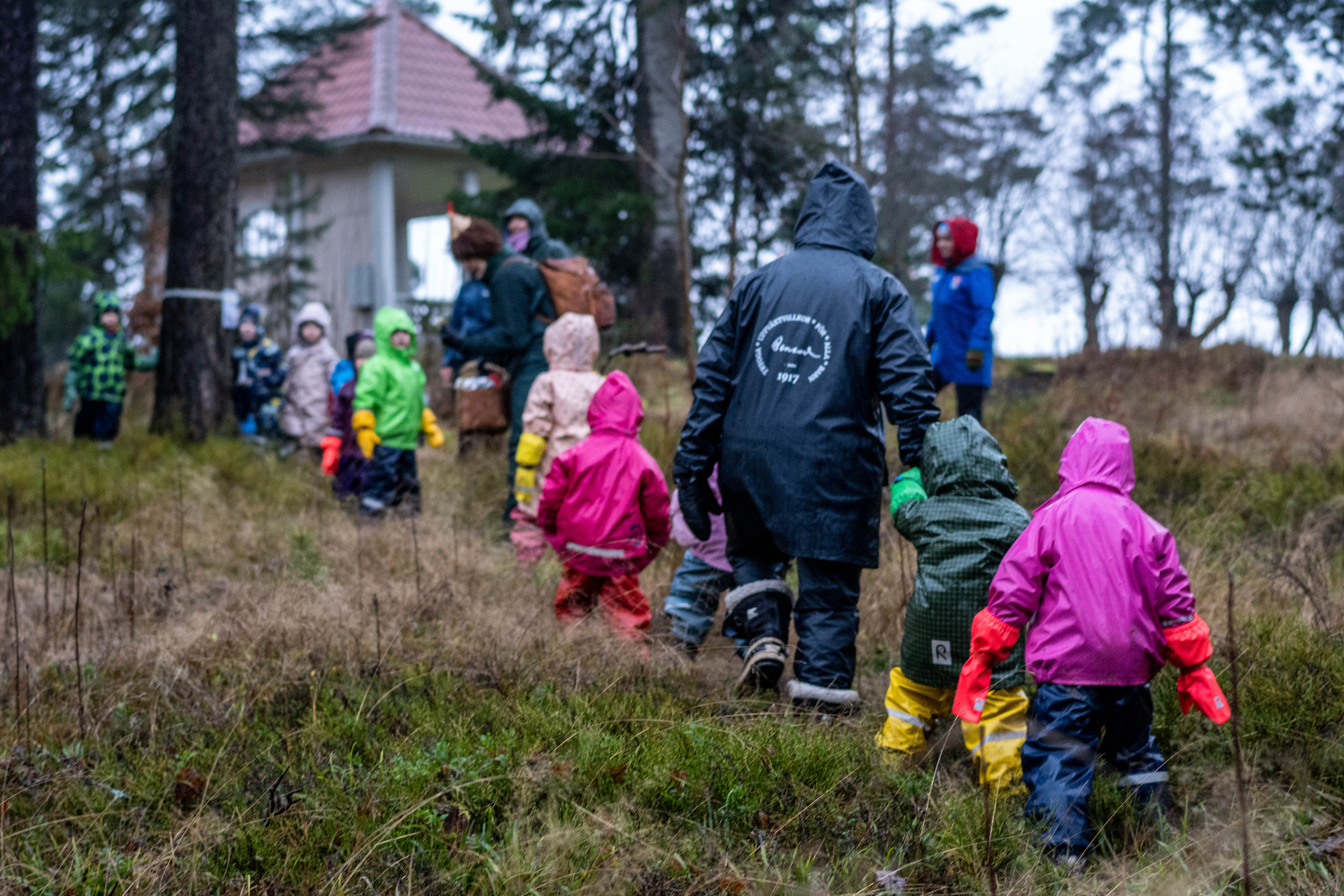 Kuva: Panu Könönen.