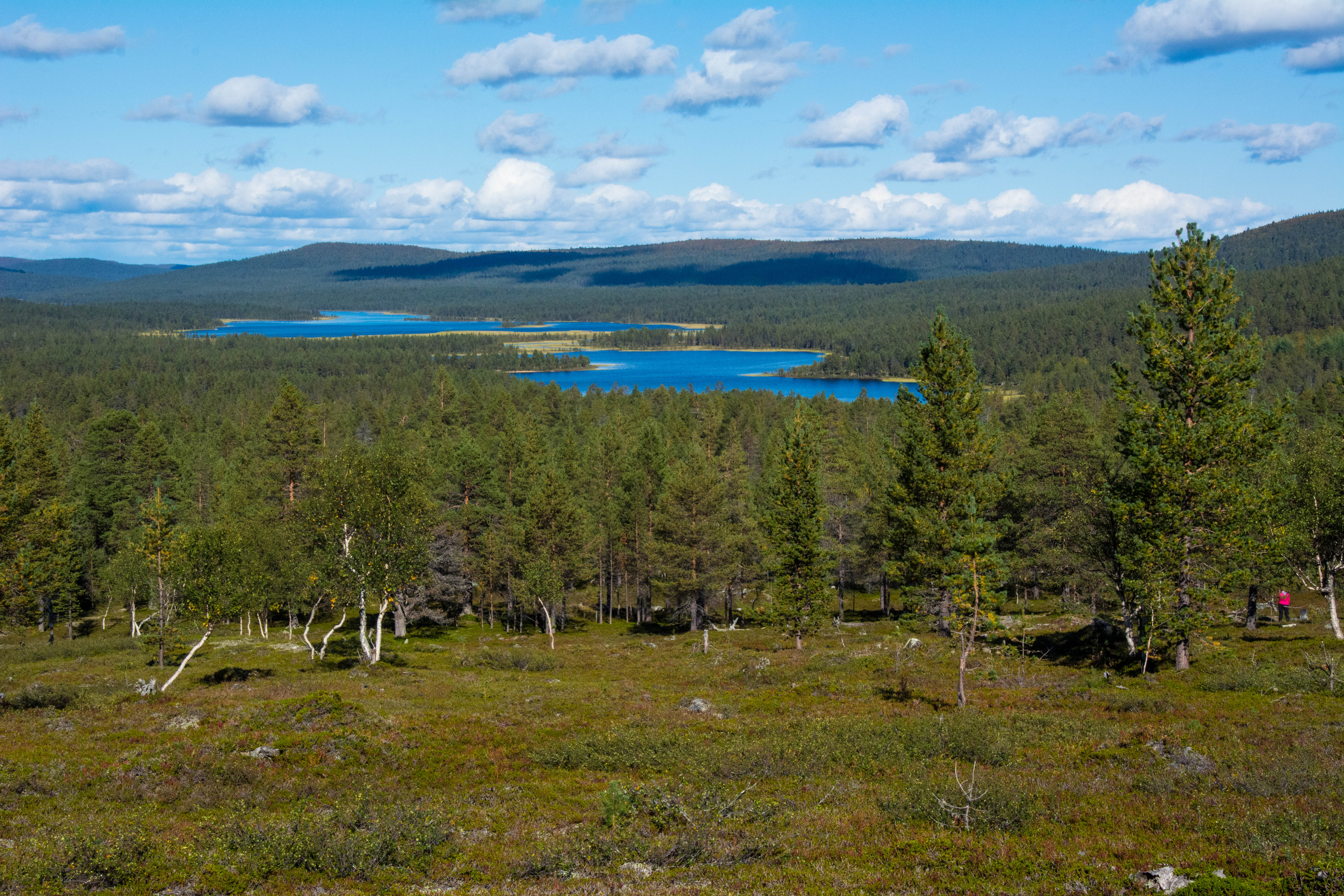 Aittajärvi ja Hammasjärvi.