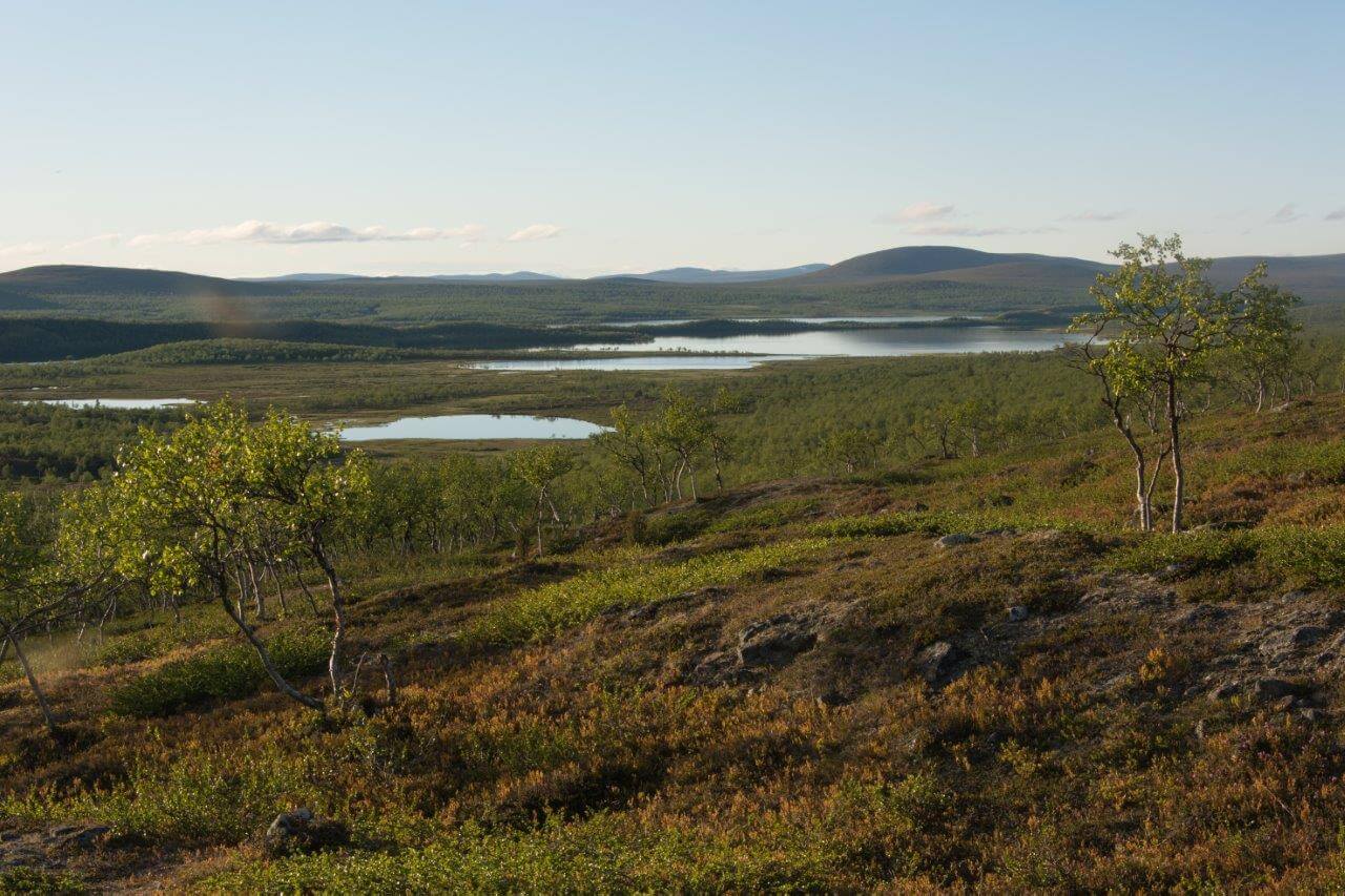 Luomusjärvet, jonka harjua Kevon reitti kulkee.