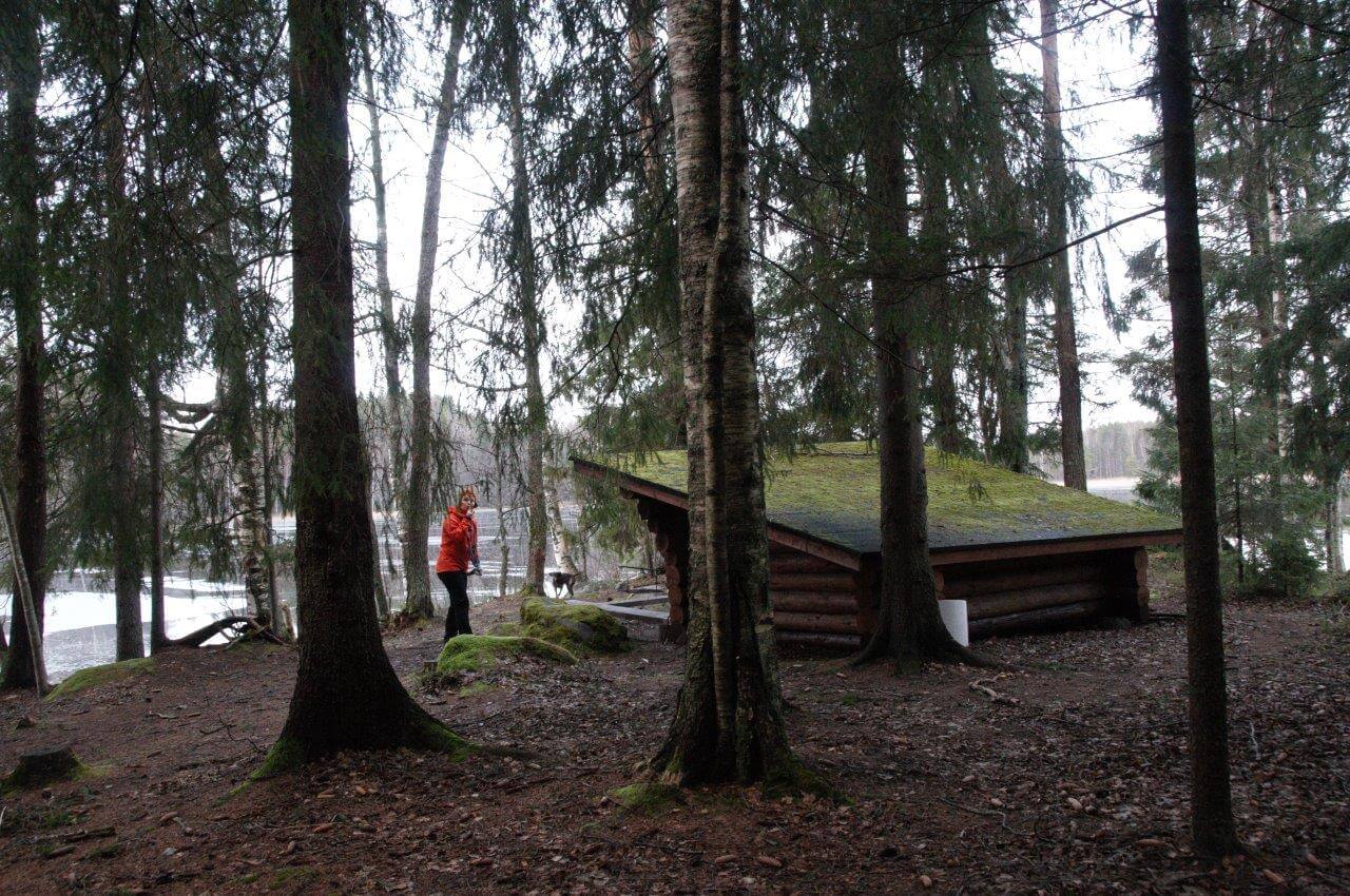 Pääjärven laavu sijaitsee kivalla paikalla pienessä niemessä.