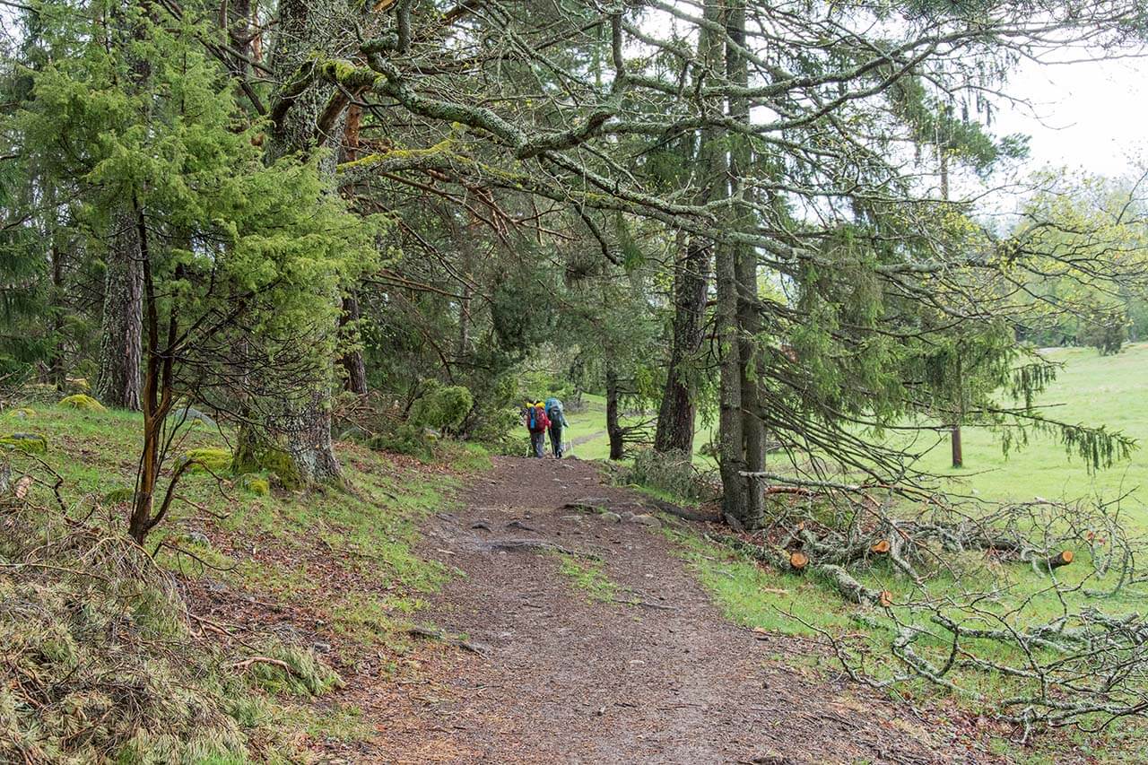 Sörmlandsleden sivuaa niin metsä- kuin kulttuurimaisemia, kuten tässä Skogshyddanin Öringen taajaman välillä. Kuva: Raija Hentman.