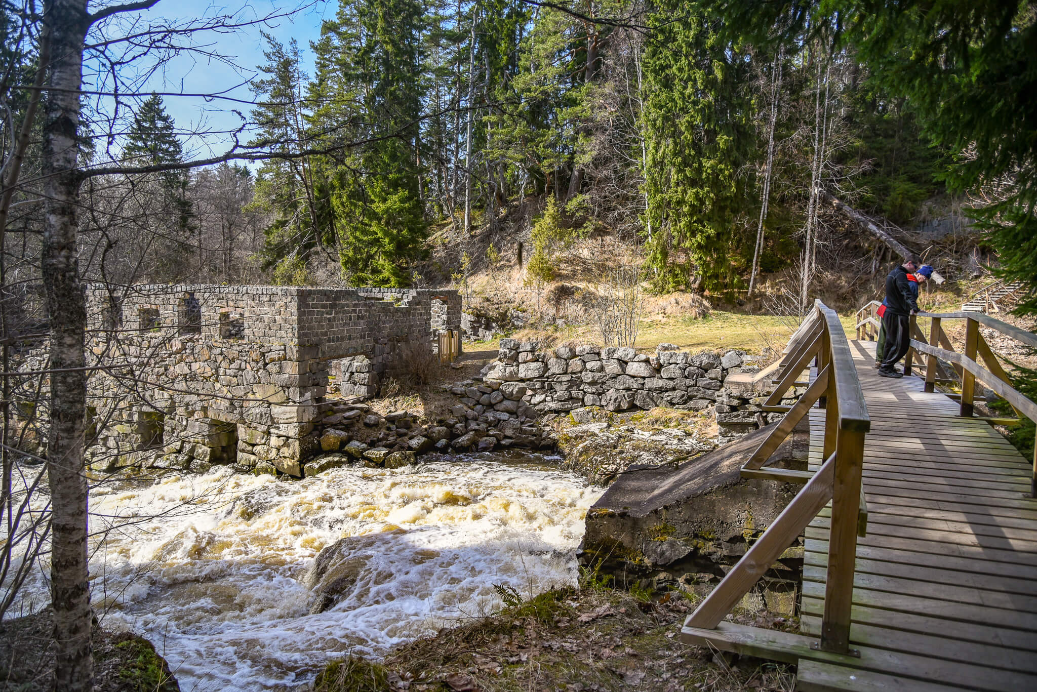 Kosken partaalla seisoo valtava kiviraunio, vanha mylly. Kuva: Jonna Saari.