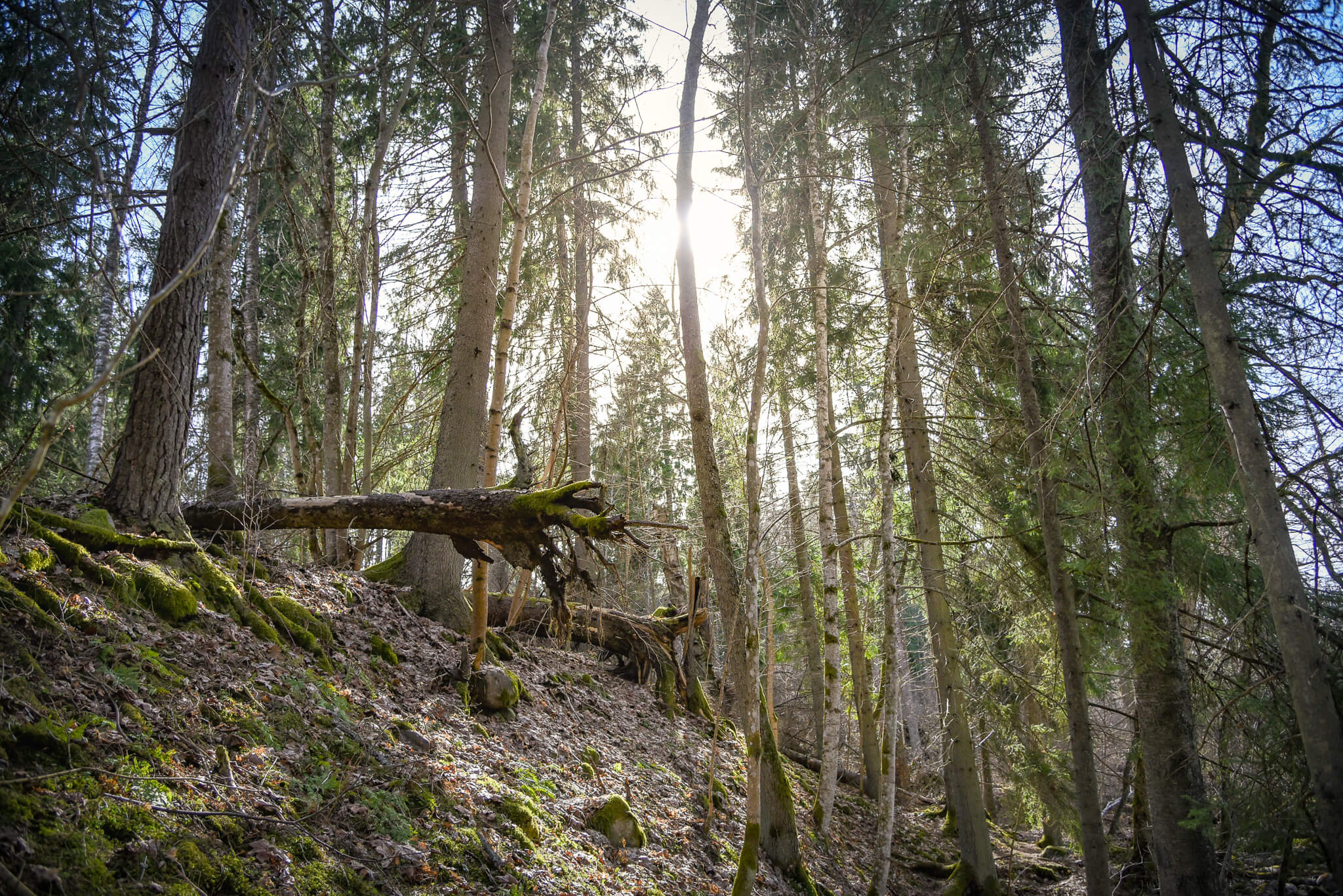 Reitin syrjäinen ja villi tunnelma paikoin jylhissäkin maastonmuodoissa tekevät säväyksen kokeneeseenkin luonnossa liikkujaan. Kuva: Jonna Saari.
