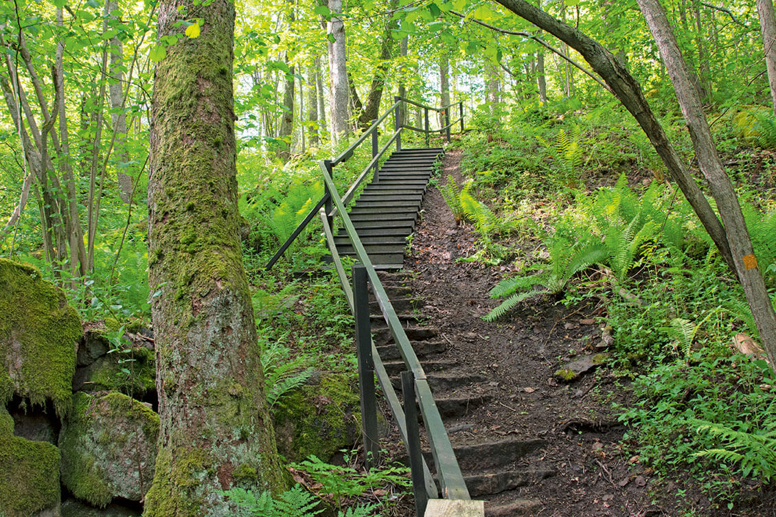 [04] Totin luontopolku Teijon kansallispuistossa kiertää lenkin rehevässä lehdossa. Kuva: Raija Hentman.