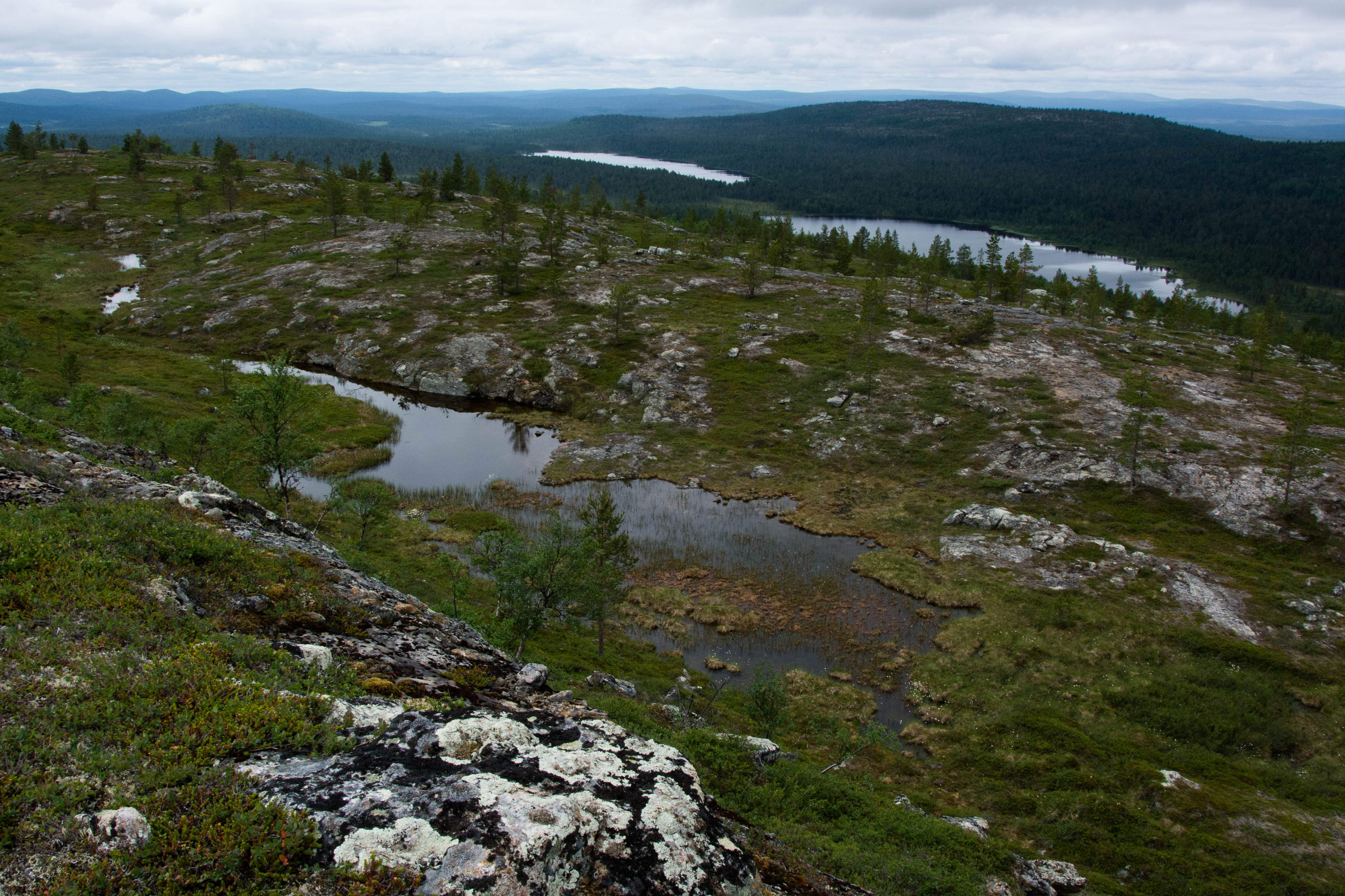 Maisema Tunturi-Suivakolta Outa-Suivakolle ja Suivakkojärville.