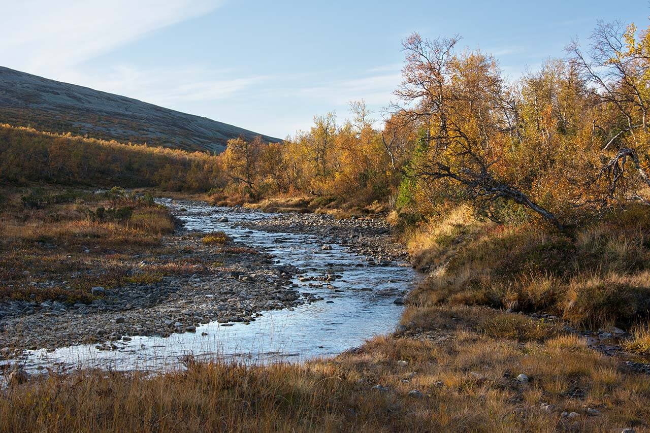 Aurinko on painumassa mailleen Vongoivajoella. Kuva: Raija Hentman.