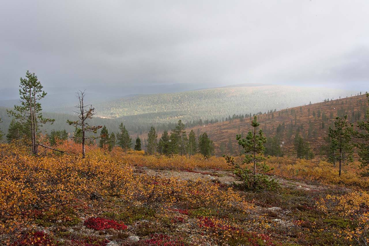 Sataa ja paistaa, maisema Kuotmuttipäältä itään. Kuva: Raija Hentman.