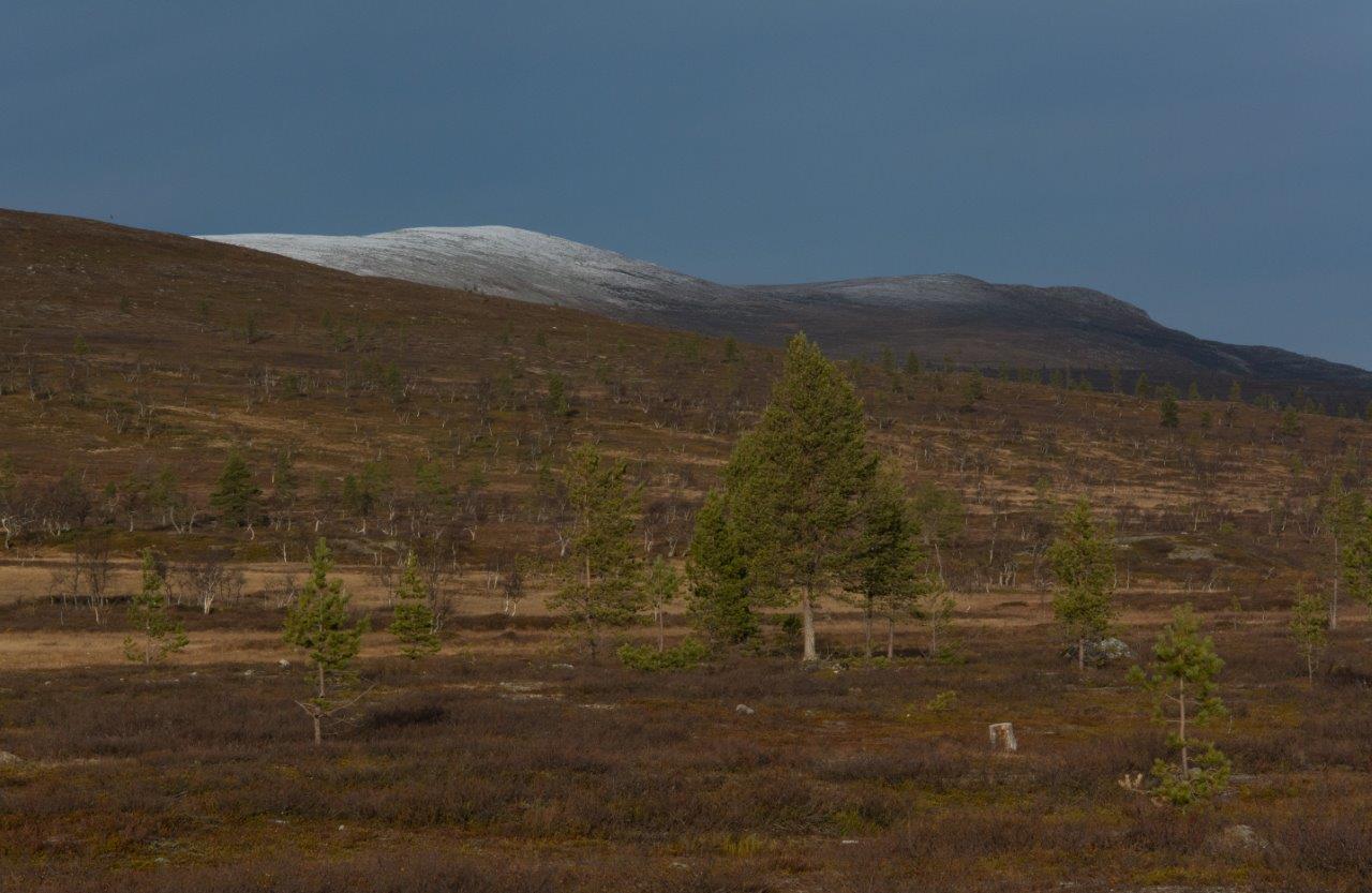 Osa alkuviikon vesisateista oli tunturissa tullut lumena ja kuorruttanut Pyhäkeron valkoiseksi.