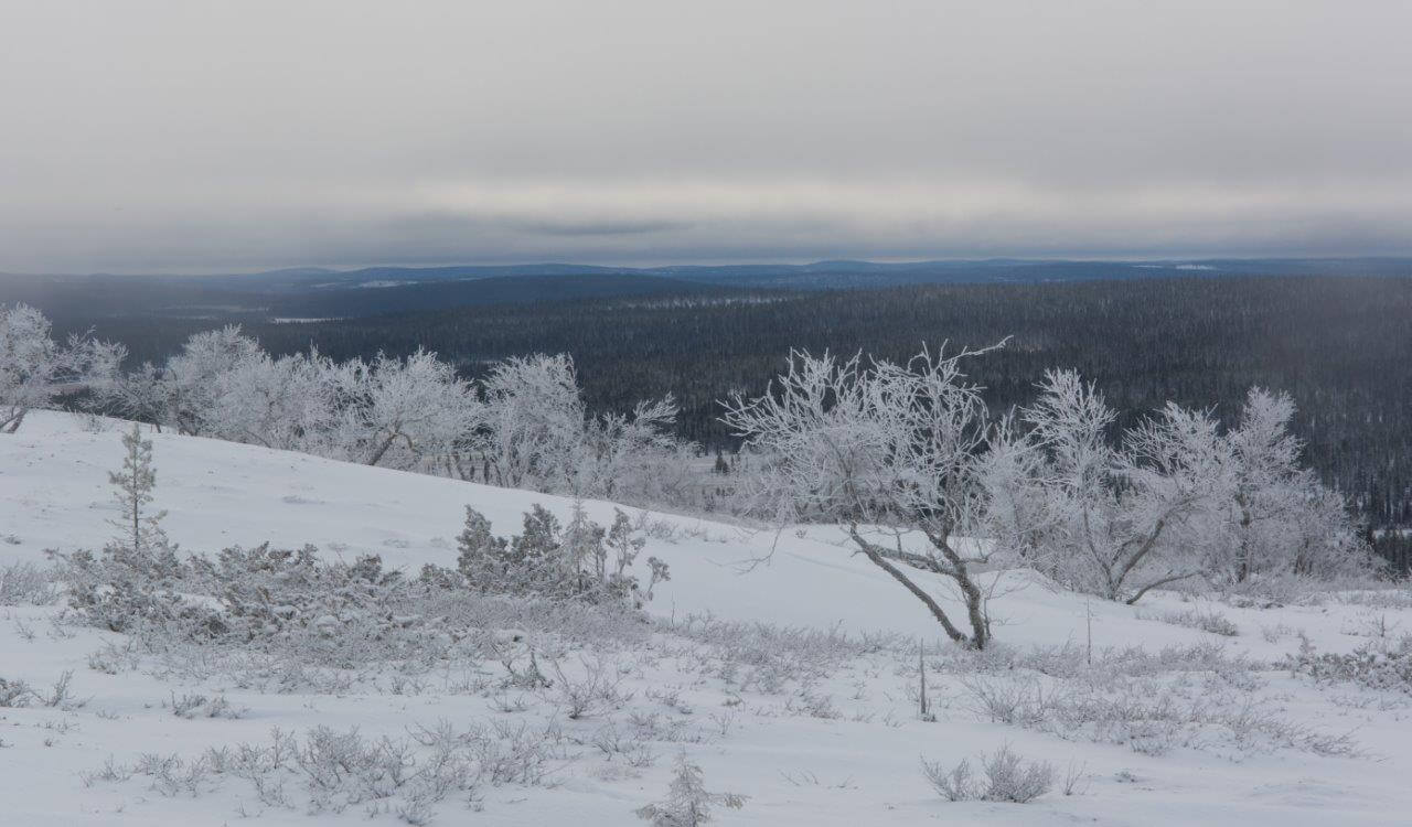 Auringonpaiste ja kelkkajälki kevensivät kummasti mieltä ja askelta, vaikka välillä joutui kiertelemään sulia.