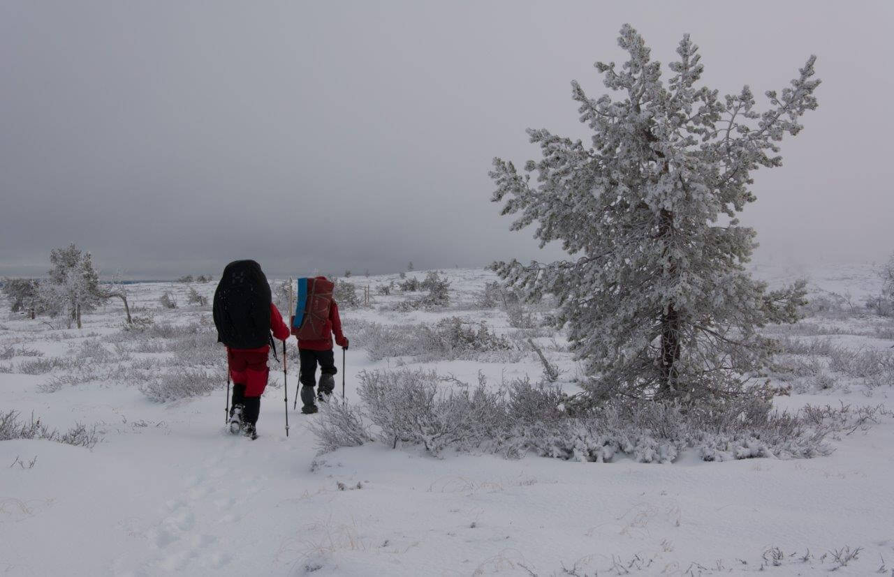 Illan ja yön lumisade oli muuttanut Suastunturin ja koko maiseman talviseksi. Kuvat: Raija Hentman.