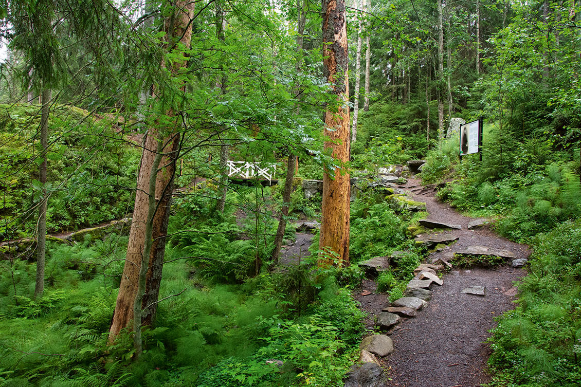 [20] Dagmarinlähde suojelualueineen tarjoaa kiehtovan historia- ja luontokohteen sekä uimaan houkuttelevan hiekkarannan. Kuva: Raija Hentman.