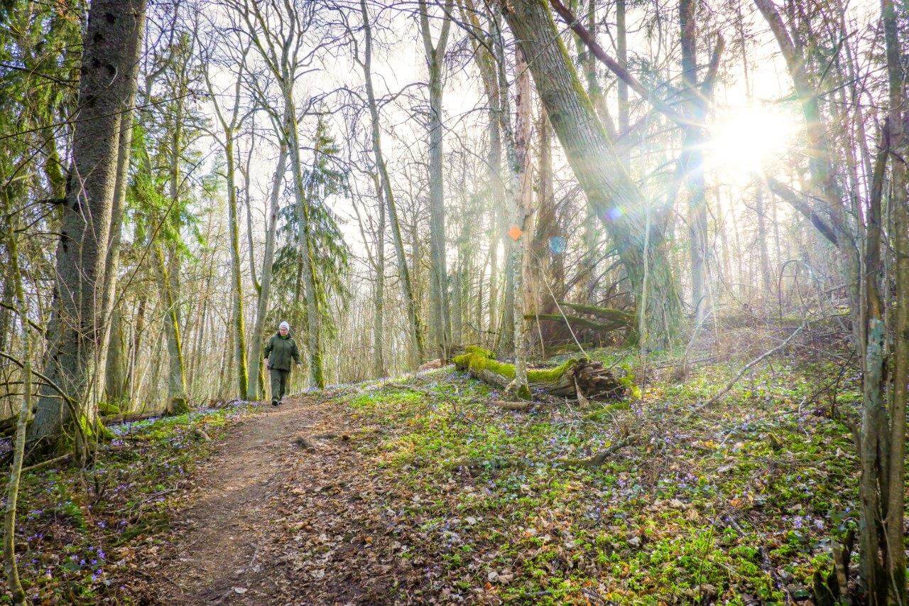 Polku on merkitty maastoon eikä eksymisen vaaraa ole. Kuvat: Jonna Saari.