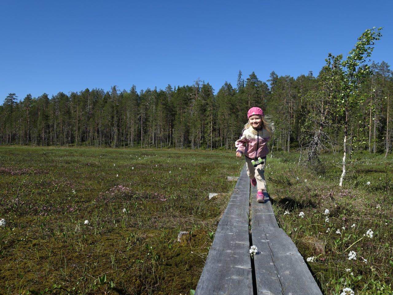 Elimyssalolla näkee koskematonta suo- ja metsäluontoa.