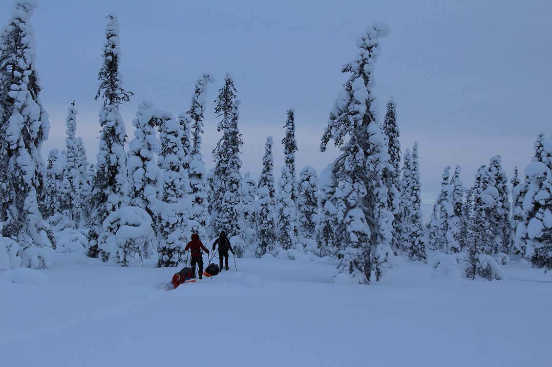 Keskitalvella kaikissa erämaissa on rauhallista. Kuva Puljun erämaasta. Kuva: Jouni Laaksonen.
