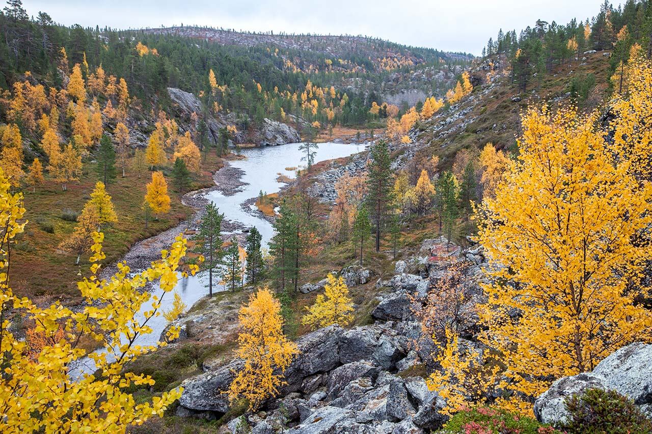 Ruskan värjäämää Routasenkurua Vätsärin erämaassa. Kuva: Markus Sirkka.