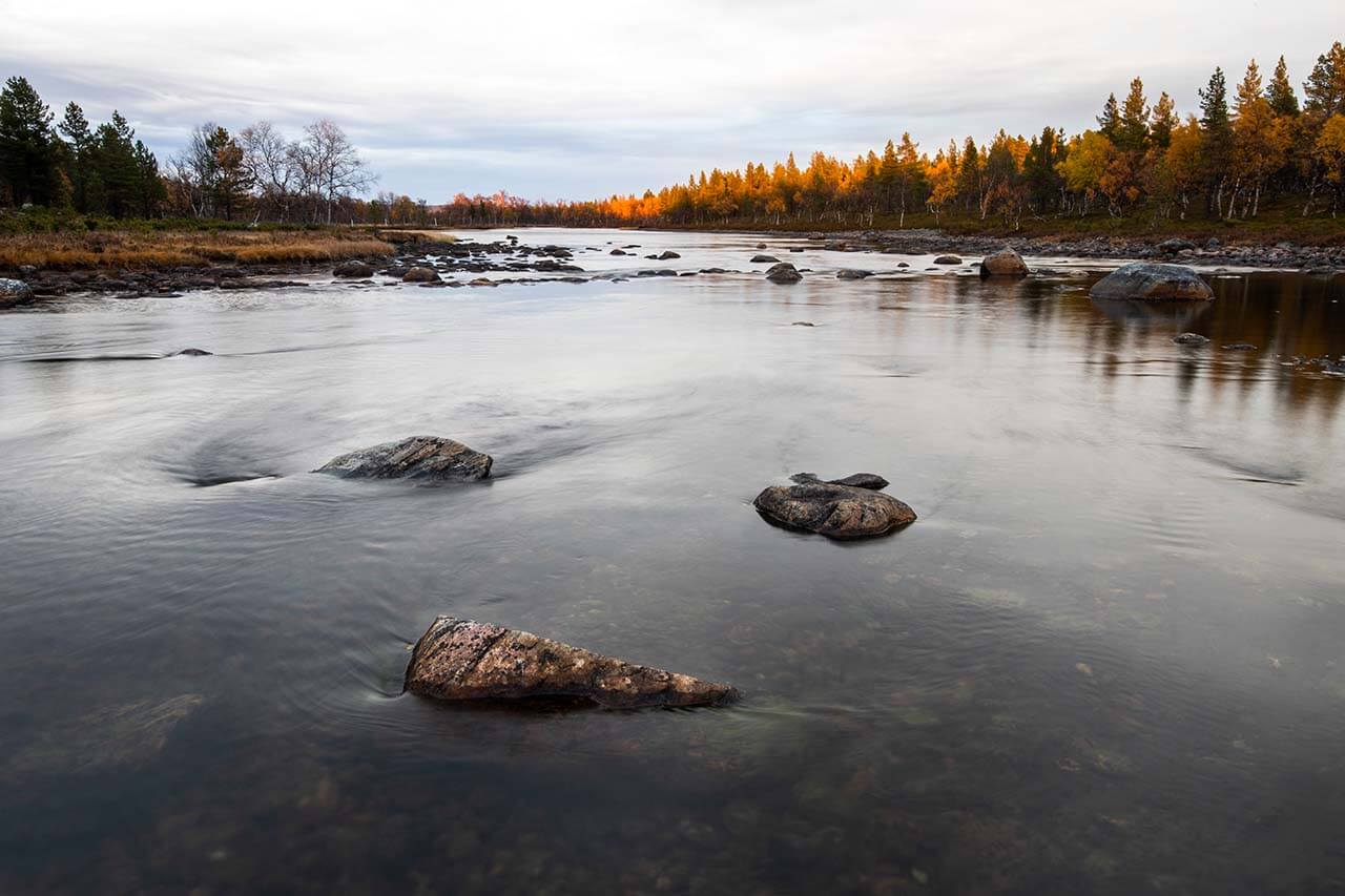 Uutuanjokea Vätsärin erämaa-alueen pojoisrajalla (oik.). Taustalla Norjan ja Suomen välinen raja ylittää joen. Kuva: Markus Sirkka.
