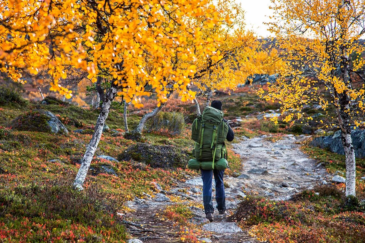 Vaeltaja matkalla Näätämöstä koihti Vätsärin erämaata. Kuva: Markus Sirkka.