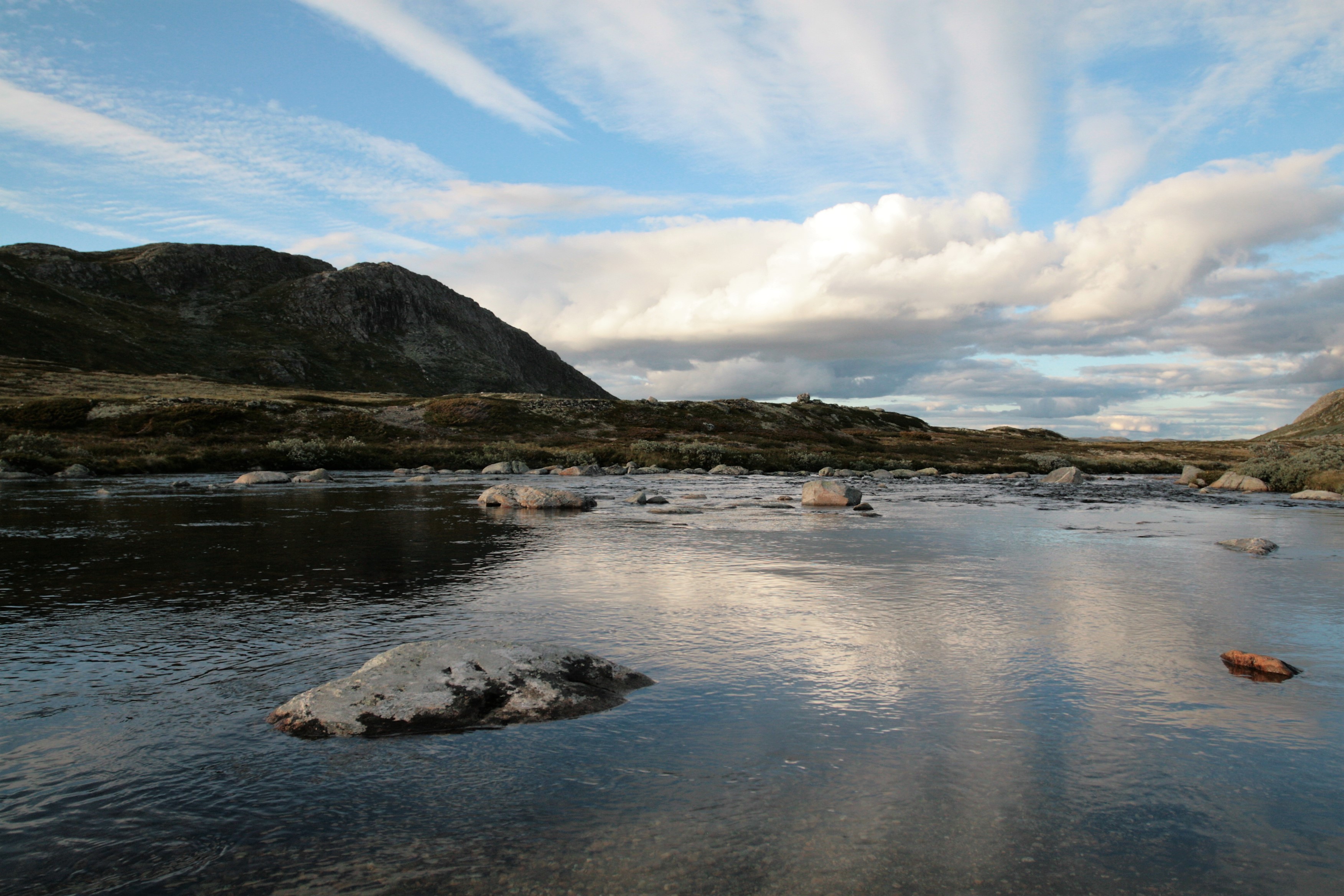 05 Hardangervidda. Kuva: Harri Ahonen.