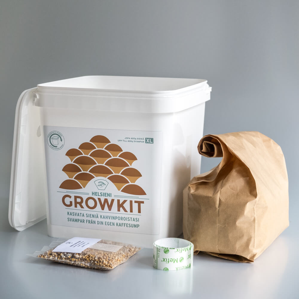 Sienet ovat kiinnostava proteiininlähde ja tilaihme sellaisenaankin. Esimerkiksi Espoossa päämajaansa pitävä Helsieni kasvattaa ruokasieniä kontissa ravintoloilta keräämissään kahvinporoissa. Kuva: Helsieni.