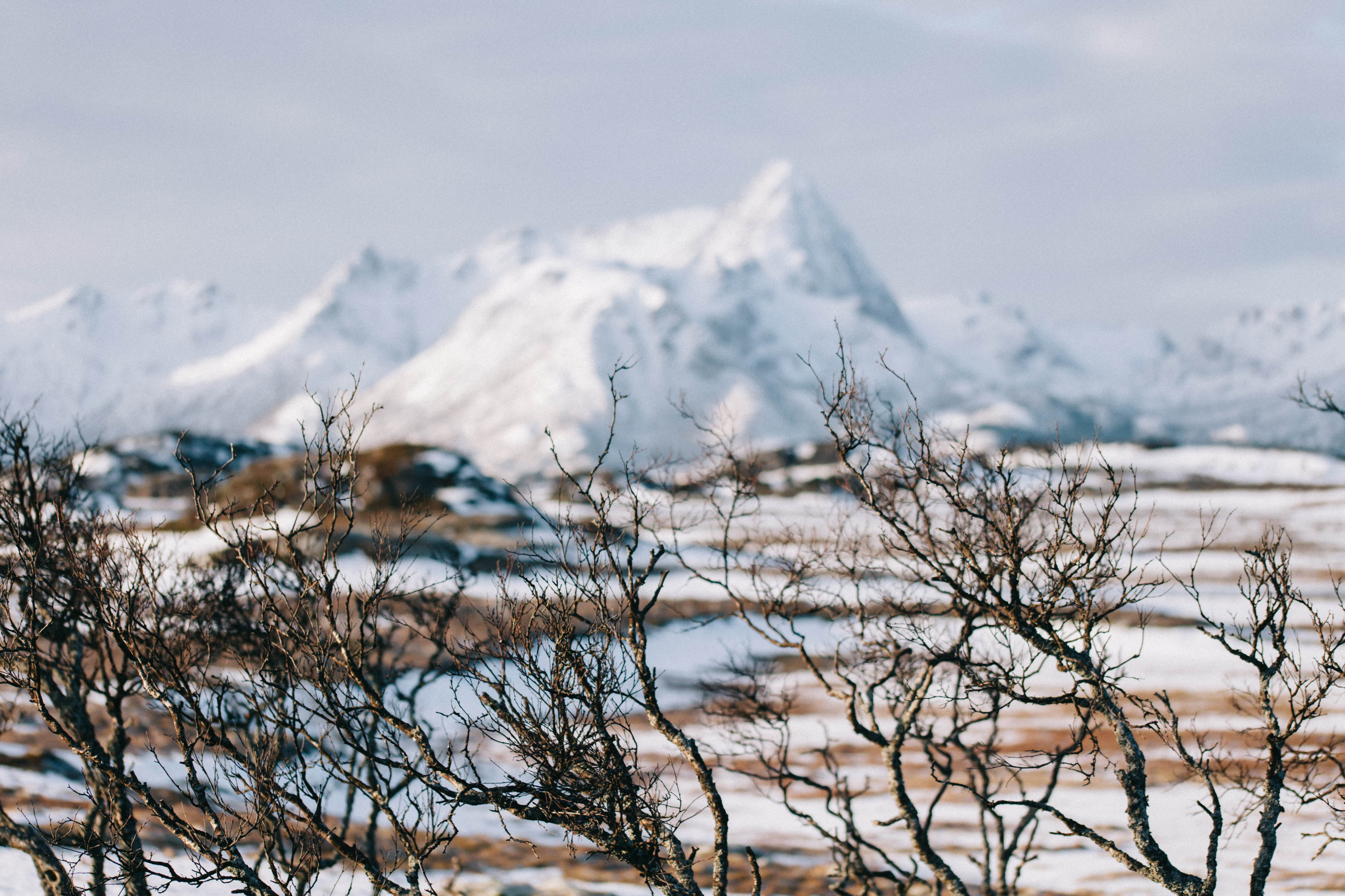 Päiväkävelyllä kotisaaren pohjoisreunalla sijaitsevalle Gisløyskagan majakalle