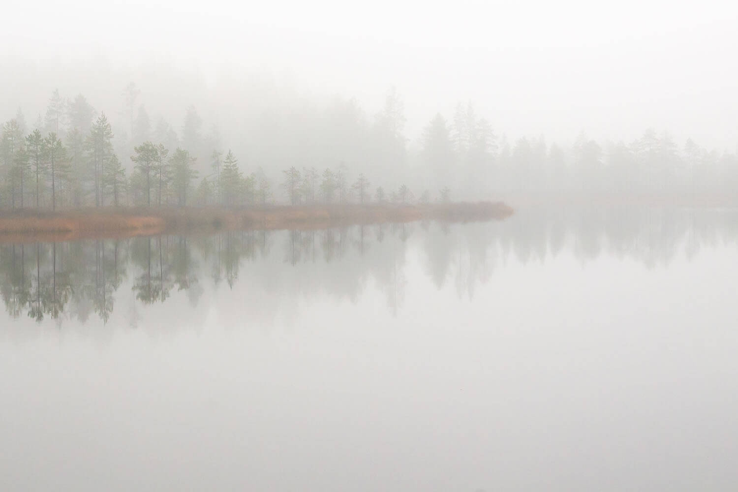 Kuvankaunis Sarvilampi piiloutuu syysaamun usvaan.