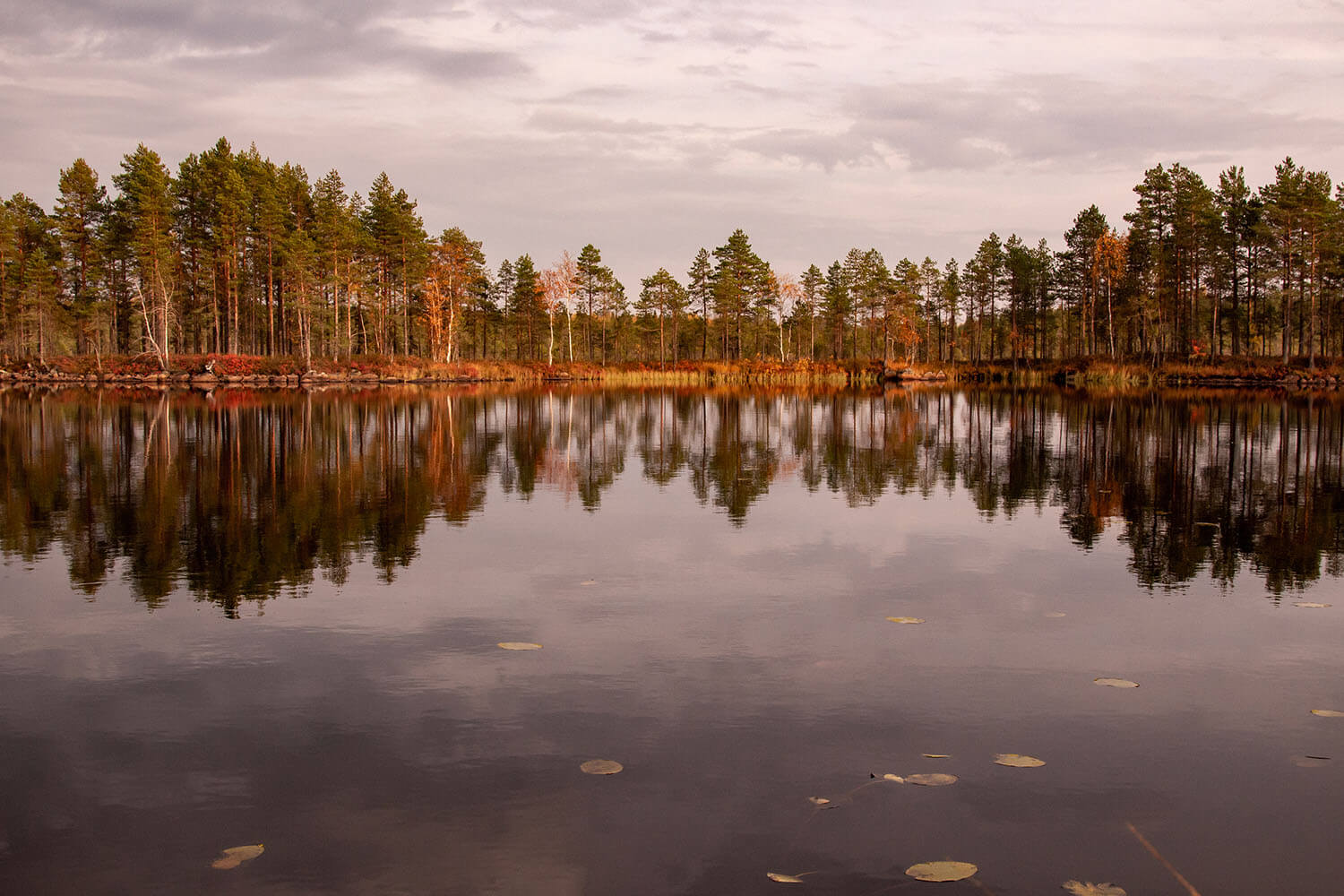 Lehtosenjärveltä Hirvaan kierros kääntyy takaisin kohti Salamajärven kansallispuistoa.