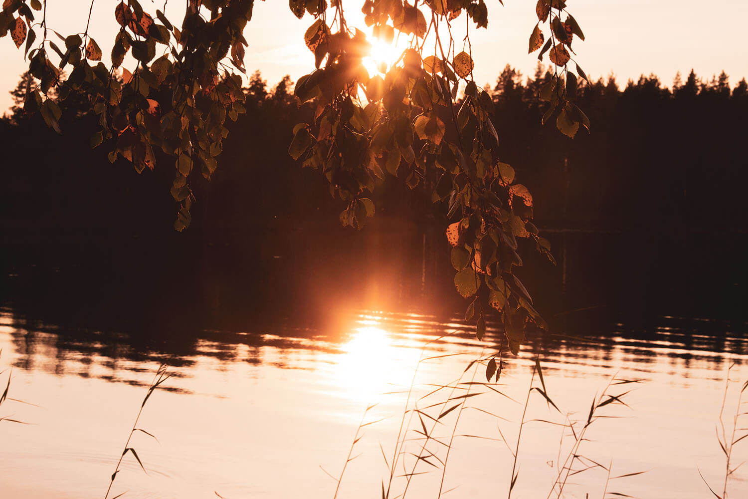 Ilta-auringon viimeiset säteet kansallispuiston nimikkojärven rannalla.