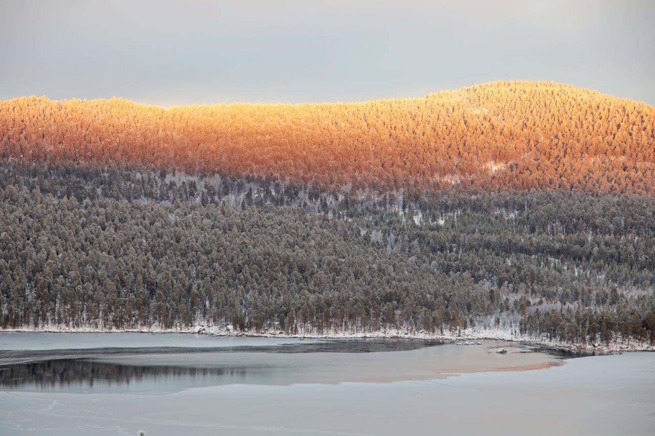 Inarijärven laitaosissa kaamoksen alkaminen ja järven jäätyminen sattuvat suunnilleen samoihin aikoihin. Suuret selät jäätyvät hieman myöhemmin. Kuva: Matti Mela.