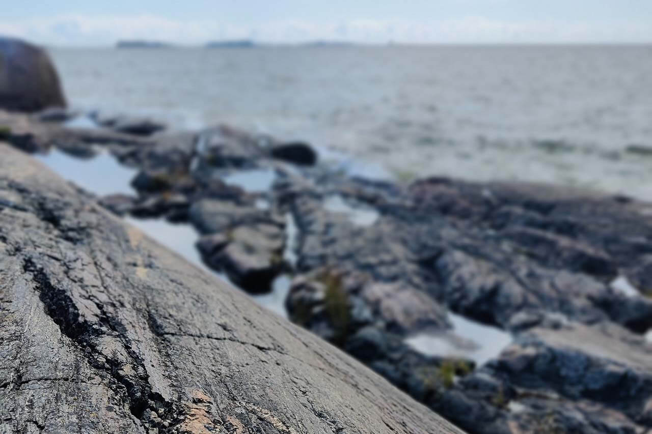 Kuva: Panu Könönen.