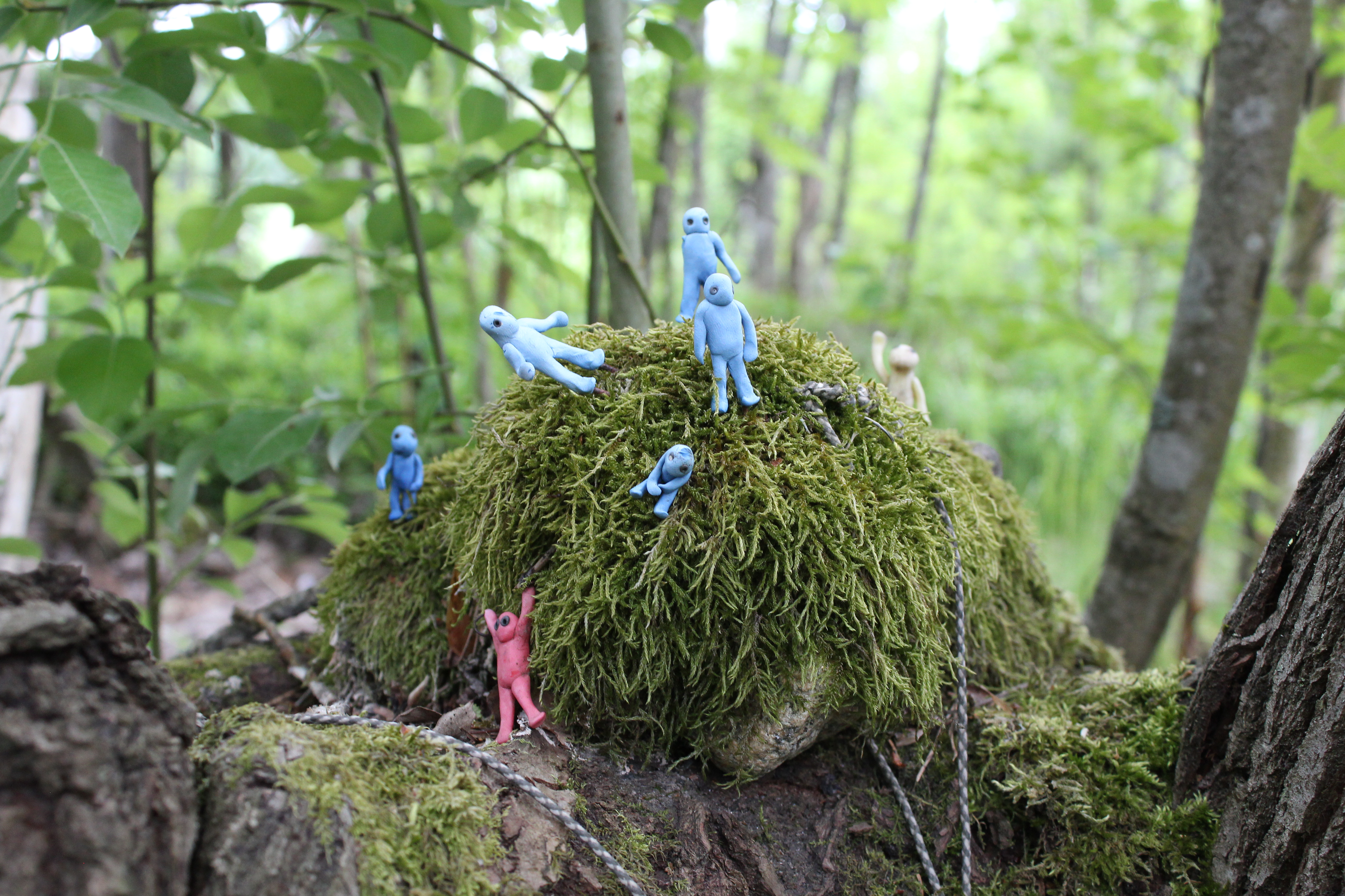 Palas taidepolulla osa teoksista oli suloisen pieniä. Teos: Virpi Kanerva,Toiset teokset olivat taas suuria ja näyttäviä. Teos: Kimmo Peltonen,Pieniä metallisia hahmoja oli usealla kivellä. Teos: Tuomas Korkalo,Kalaparvi sopi kauniisti polun varteen uimaan. Teos: Maarit Malin-Pötry,Mustakettu on tehty kierrätysmateriaaleista. Teos: Virpi Lehtonen,Peilien kautta pääsi osaksi taideteosta. Teos: Jenni Lehtinen,Villa Mehun rakennelmat ovat olleet tyhjillään useita vuosia ja sulautuneet osaksi luontoa,Villa Mehun vieressä on Morsiusmäenpolku, joka vie upeisiin maisemiin. Polkua ylläpitää Veklahden Kyläyhdistys.