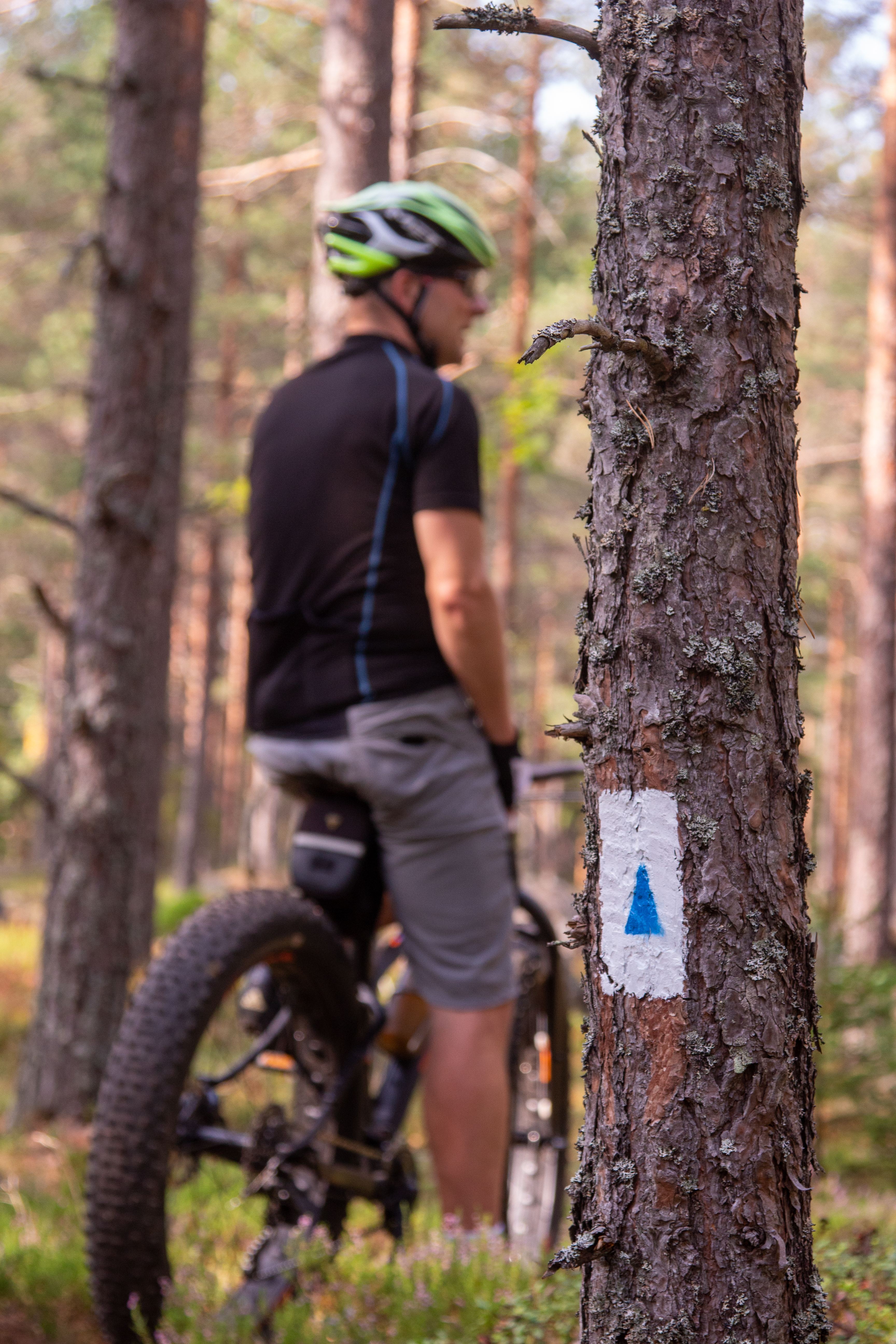 Fiskarsin pyöräreitit on merkitty niiden vaativuustasoa kuvaavilla suuntanuolilla. Kuva: Tapani Leppänen.