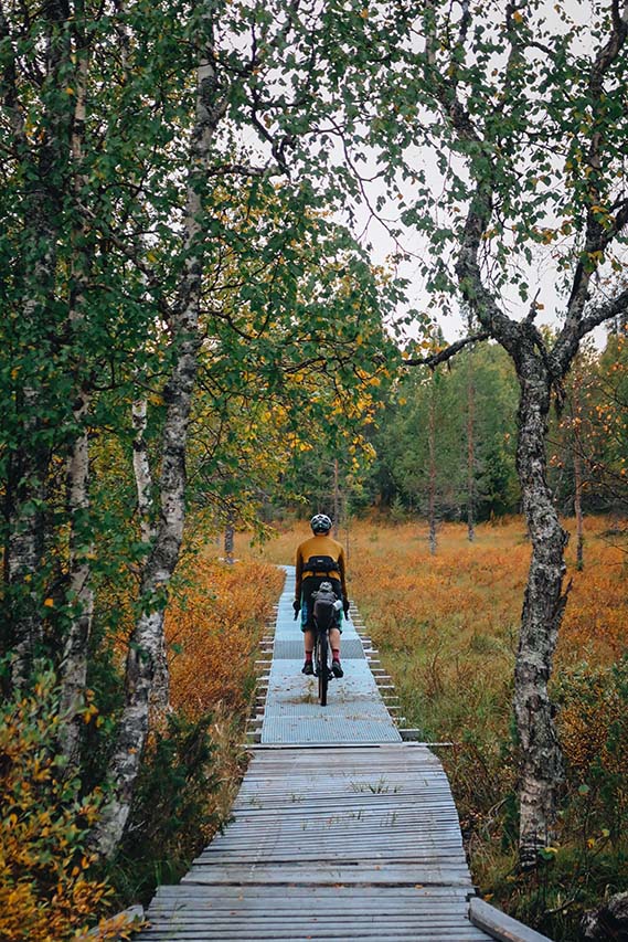 Korvatunturin reitillä kosteimmat kohdat ylitetään lavereita pitkin, mutta haastavaa polkua riittää silti ajettavaksi. Kuva: Milja Fromholtz.